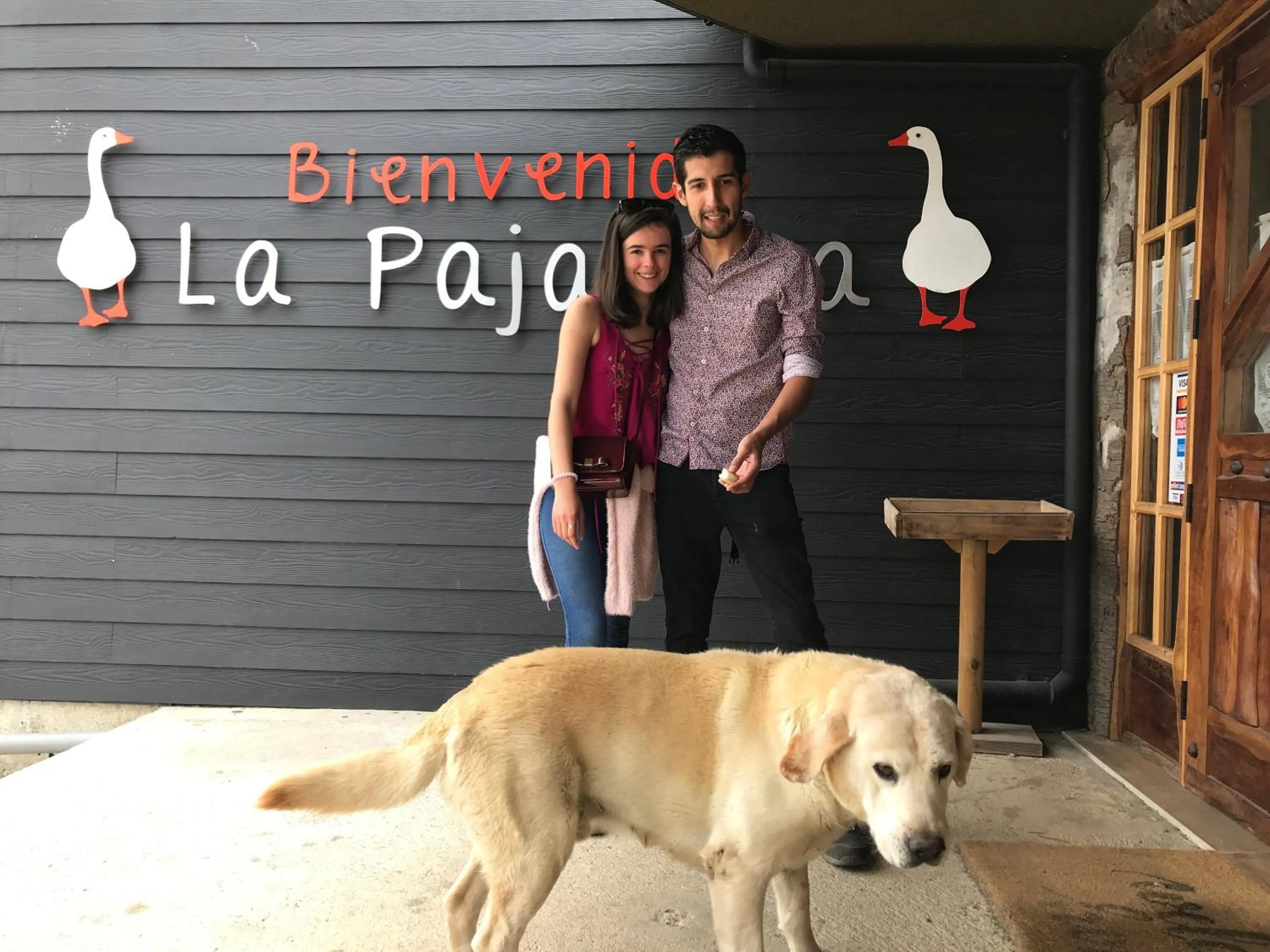 Guests in Parque la Pajarera