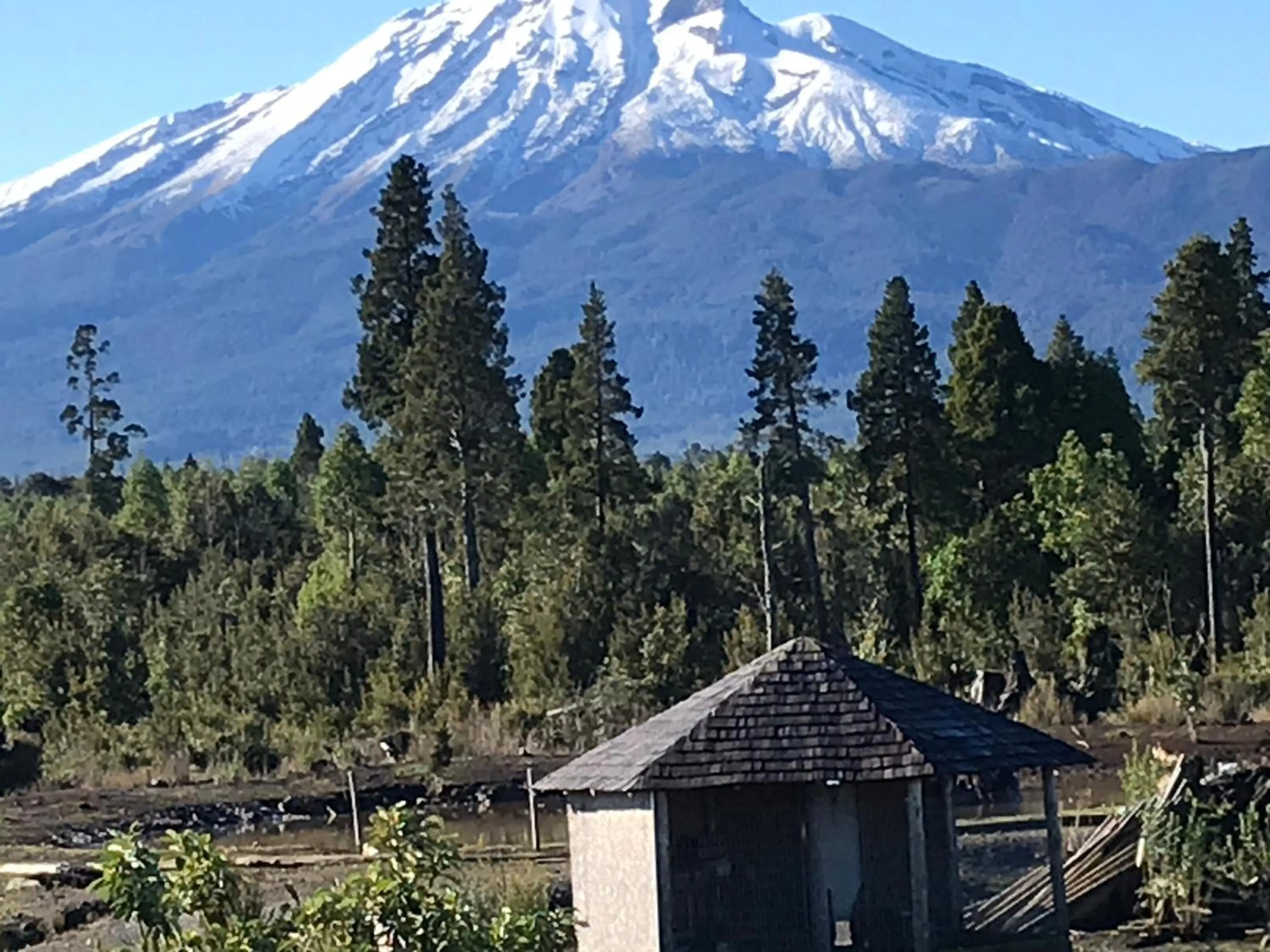 Landmark view in Parque la Pajarera