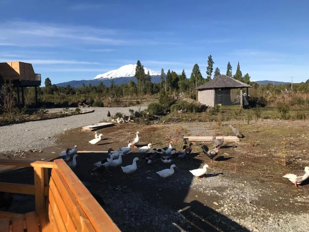 Property building in Parque la Pajarera