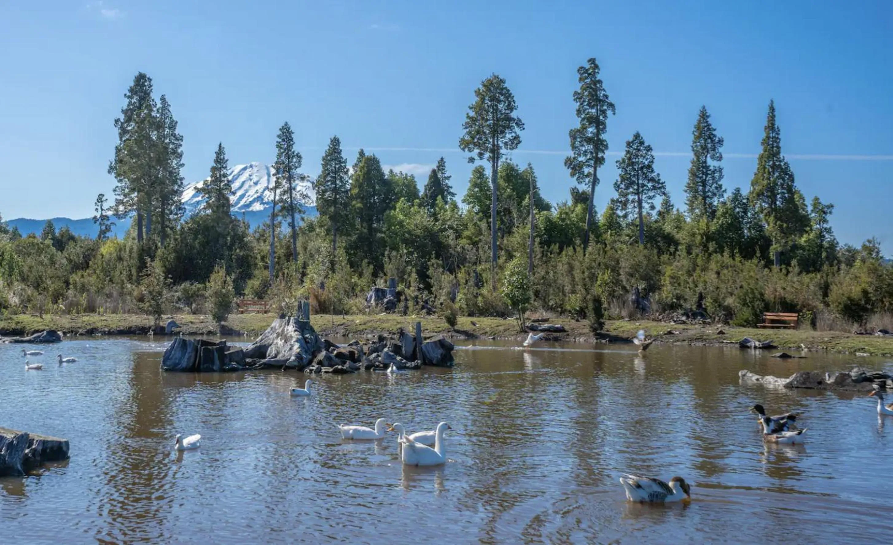 Natural landscape in Parque la Pajarera