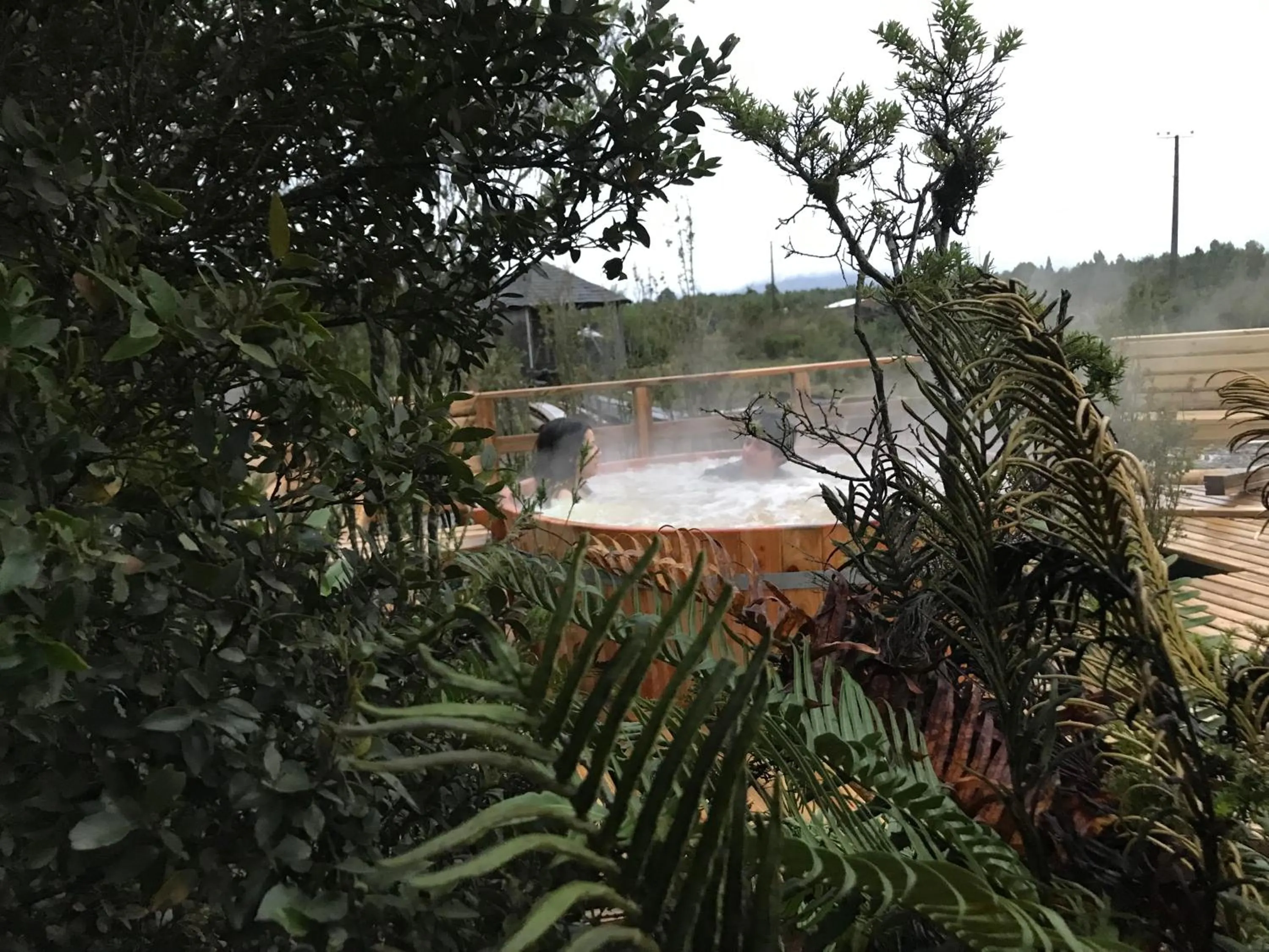 Swimming pool in Parque la Pajarera