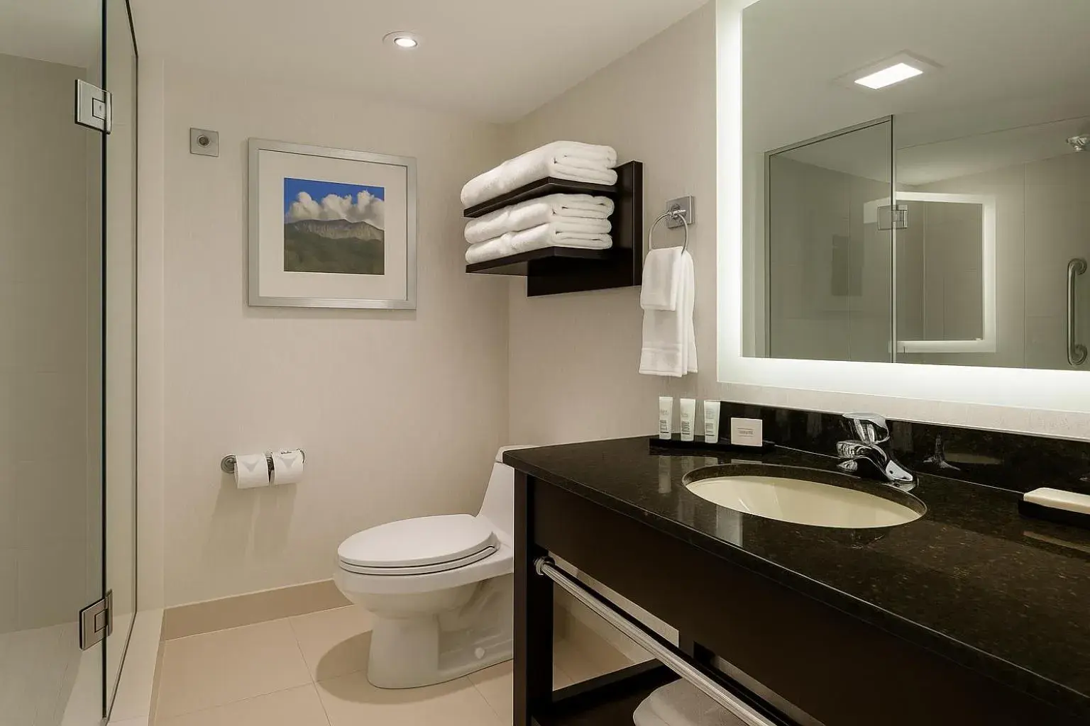 Shower in Embassy Suites by Hilton Niagara Falls/ Fallsview Shower in Embassy Suites by Hilton Niagara Falls/ Fallsview