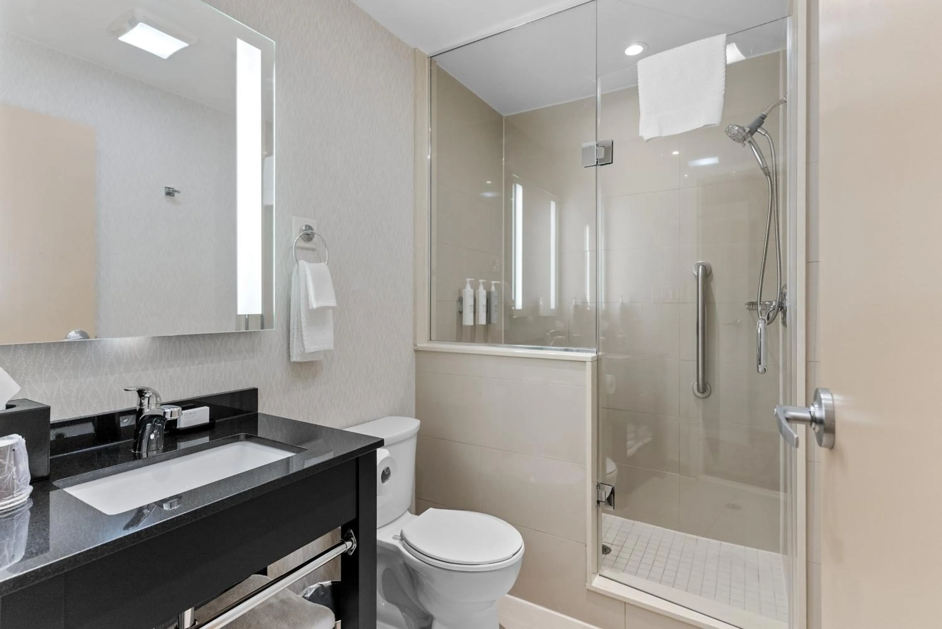 Shower in Embassy Suites by Hilton Niagara Falls/ Fallsview