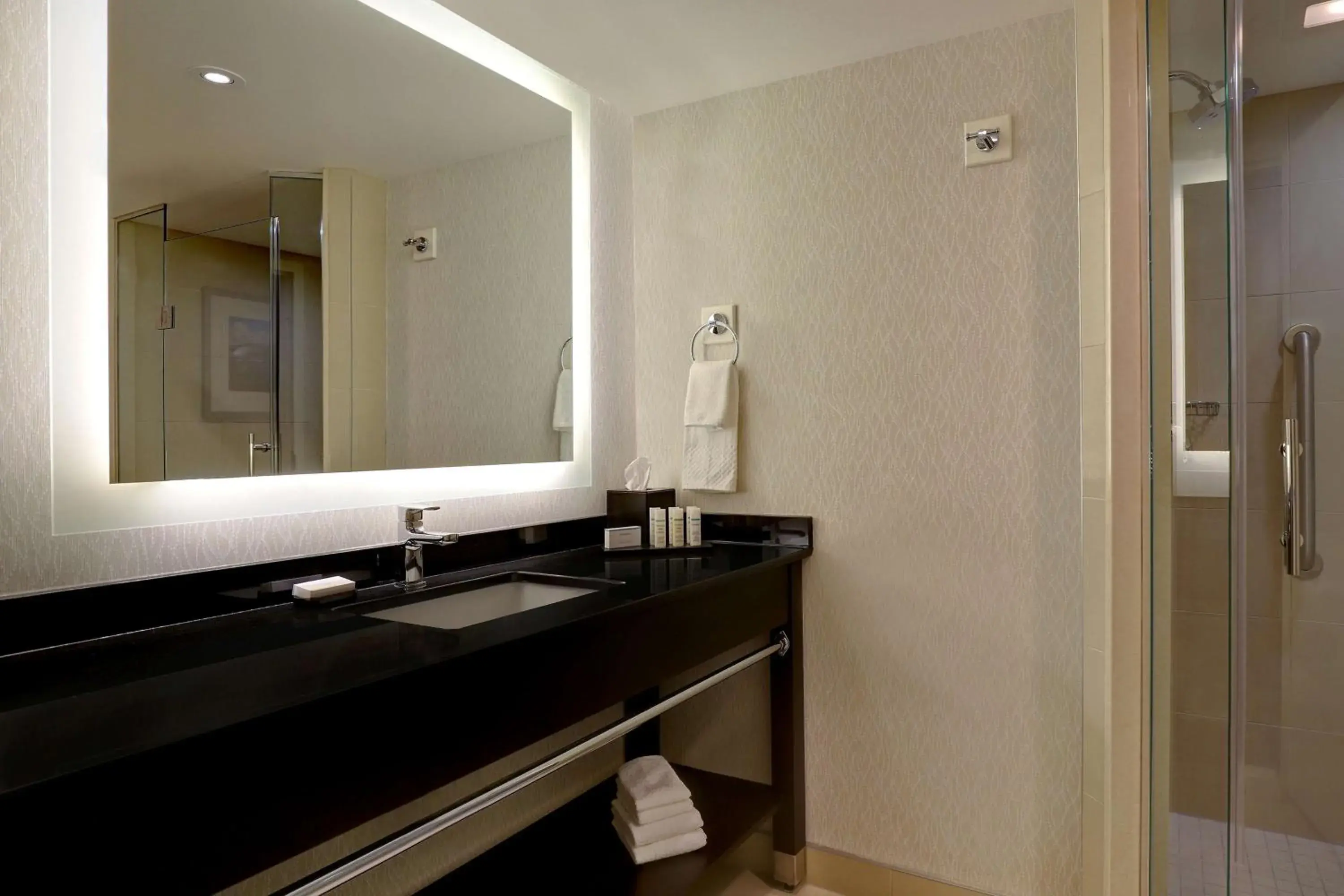 Bathroom in Embassy Suites by Hilton Niagara Falls/ Fallsview Bathroom in Embassy Suites by Hilton Niagara Falls/ Fallsview