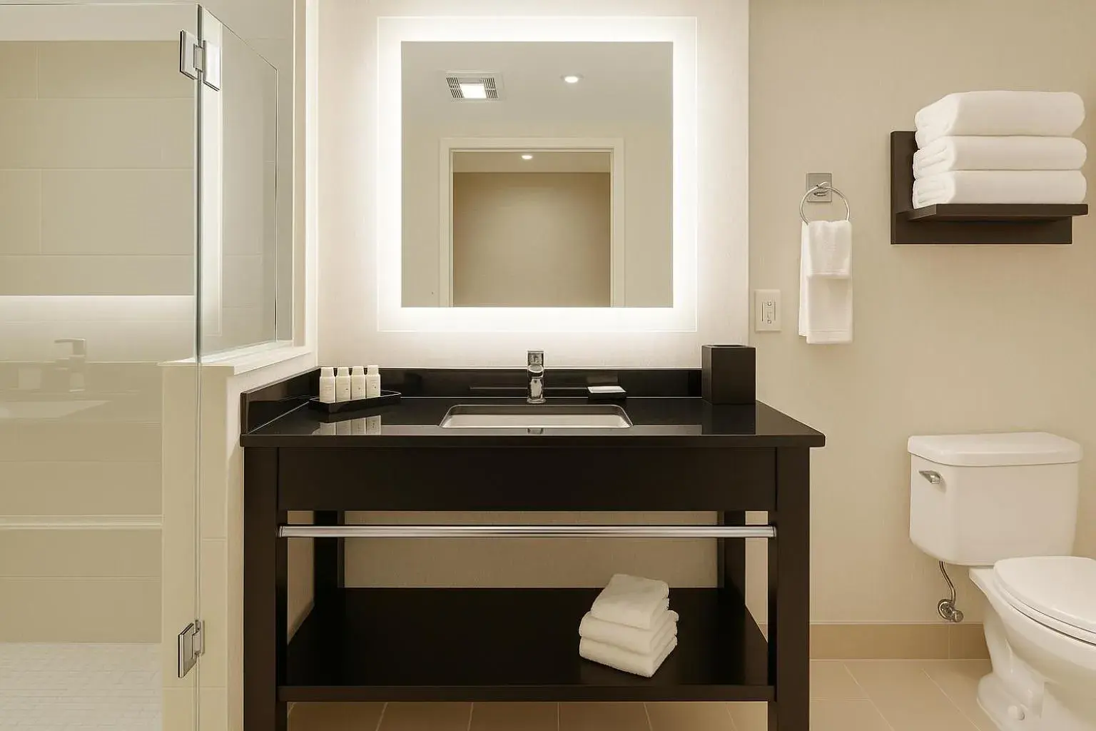 Shower in Embassy Suites by Hilton Niagara Falls/ Fallsview Shower in Embassy Suites by Hilton Niagara Falls/ Fallsview