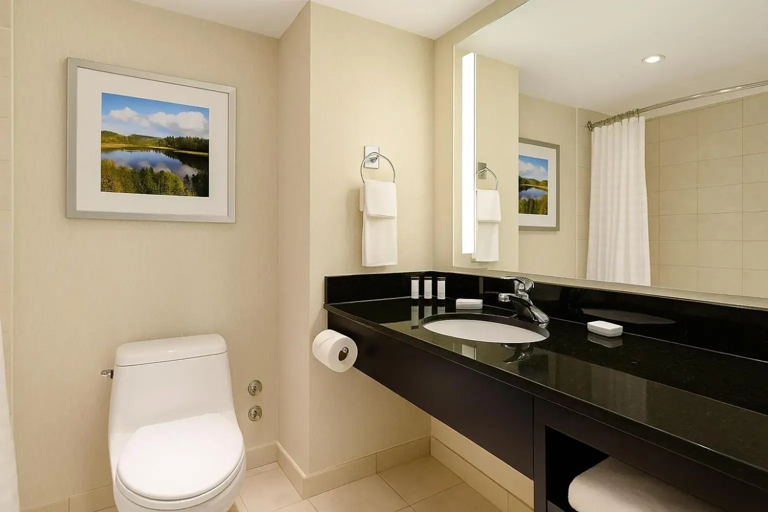 Toilet in Embassy Suites by Hilton Niagara Falls/ Fallsview Toilet in Embassy Suites by Hilton Niagara Falls/ Fallsview