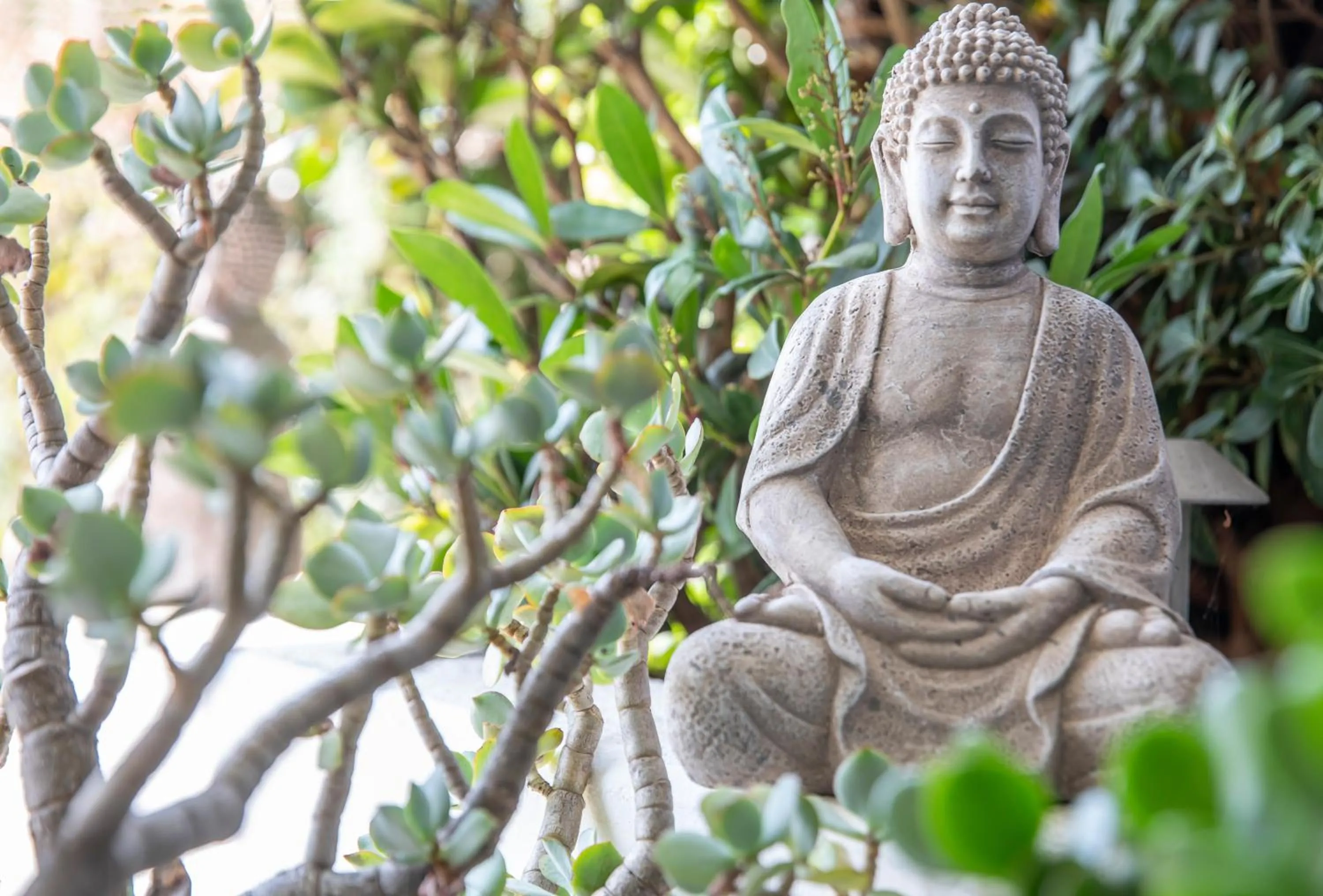 Decorative detail in Smart-HOTEL MINUSIO, a Swiss Quality Hotel