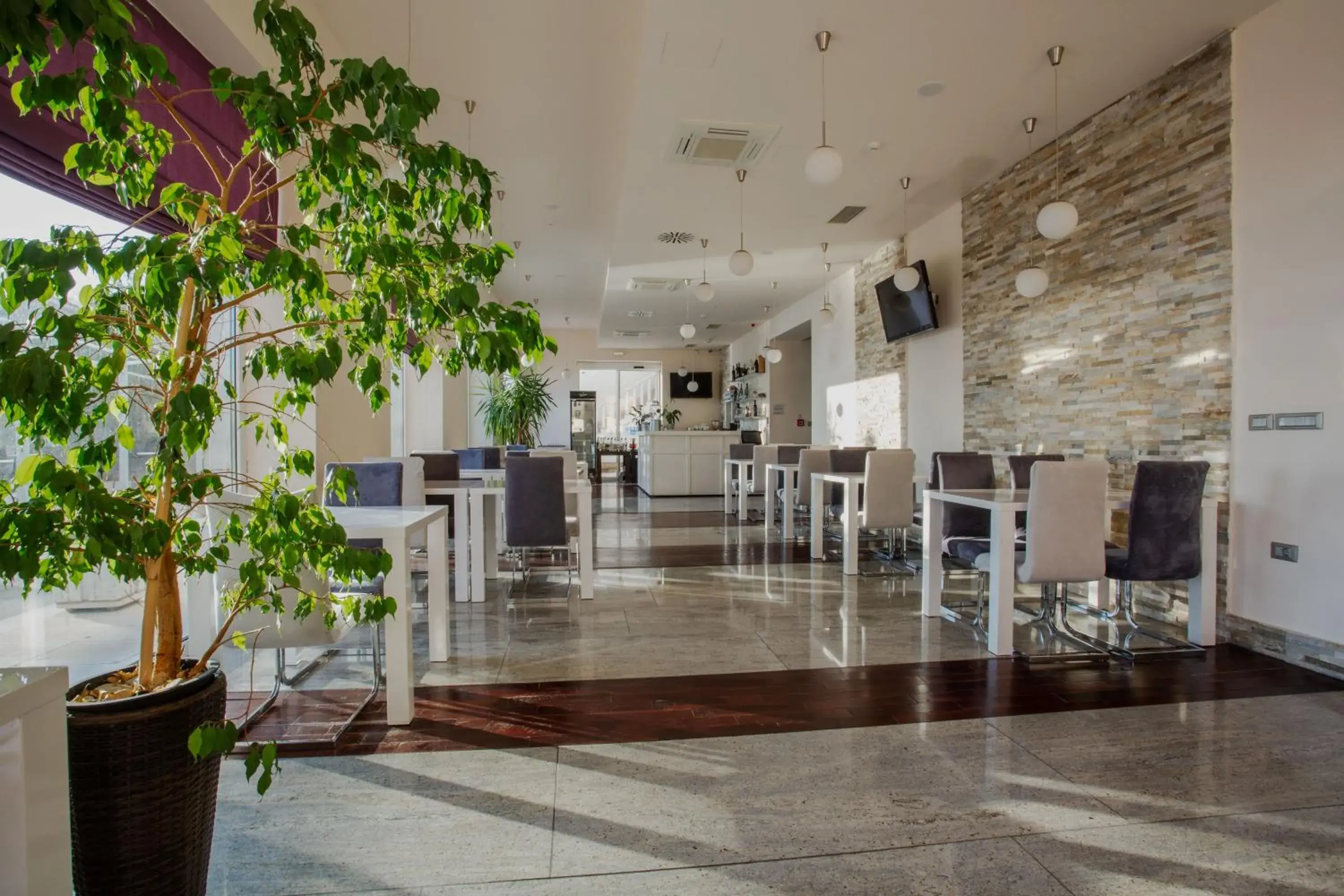 Restaurant/places to eat in Hotel Pleter Restaurant/places to eat in Hotel Pleter