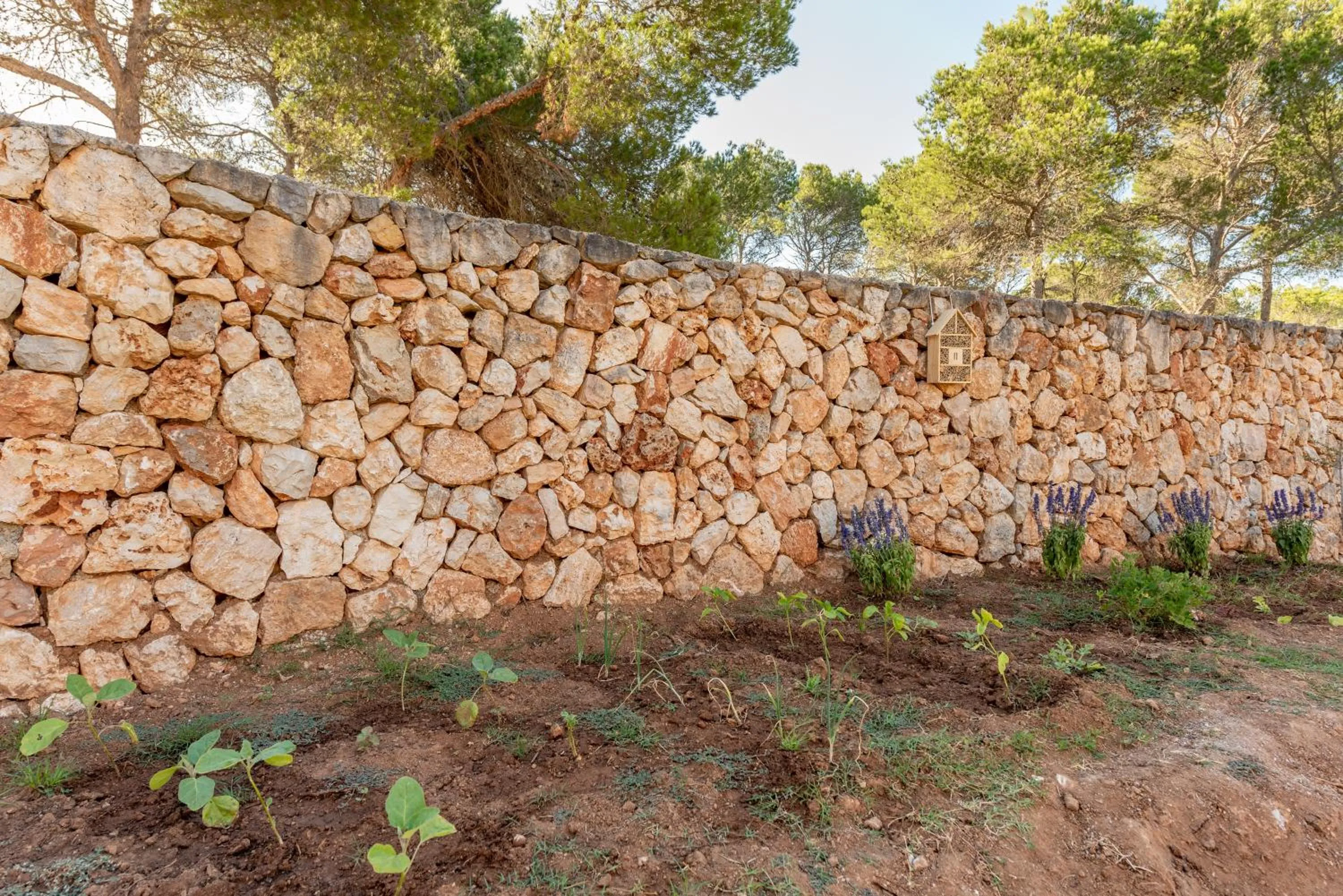 Villa Del Mar Mondrago