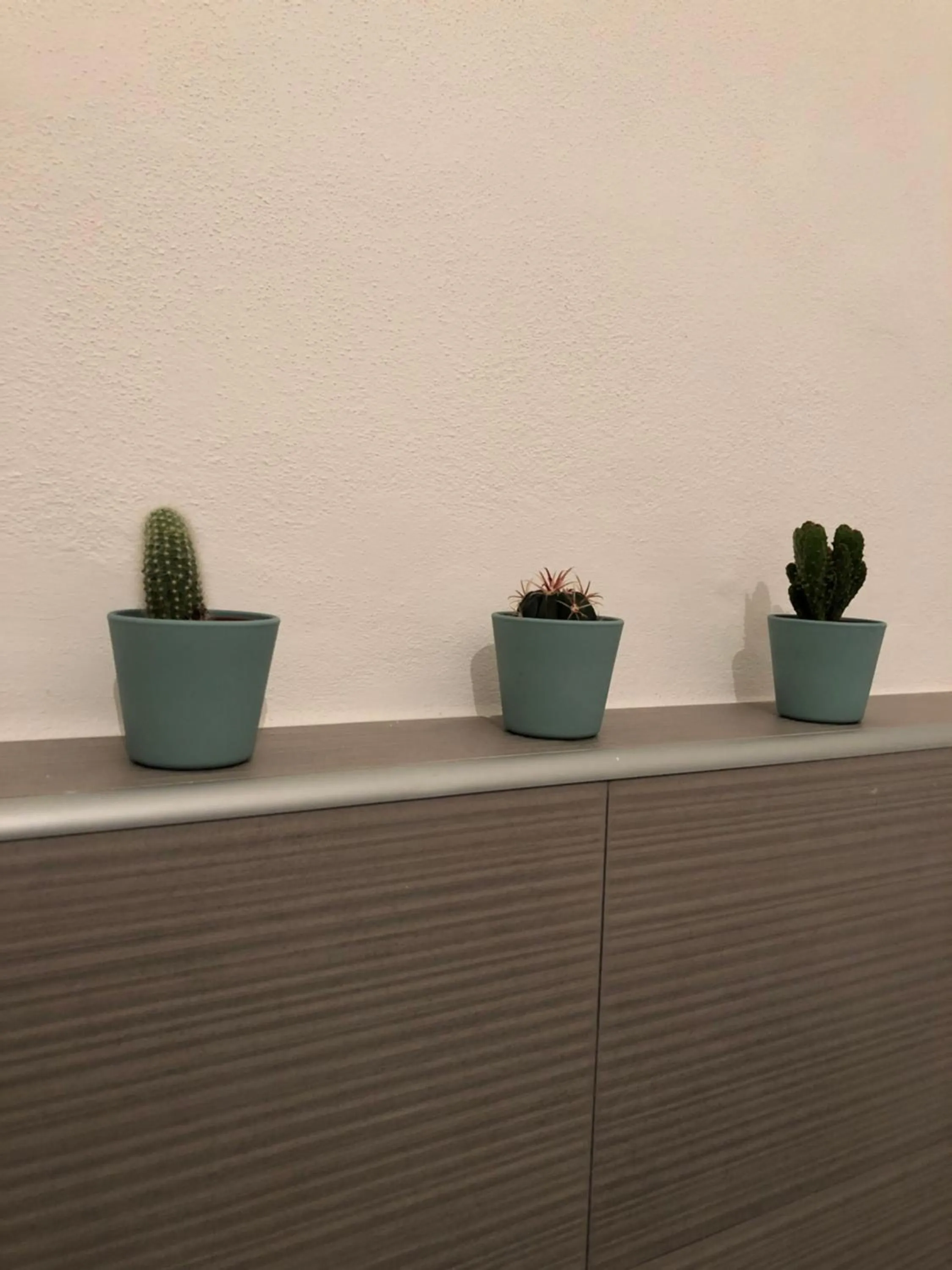 Decorative detail in La Gemma di Ortigia