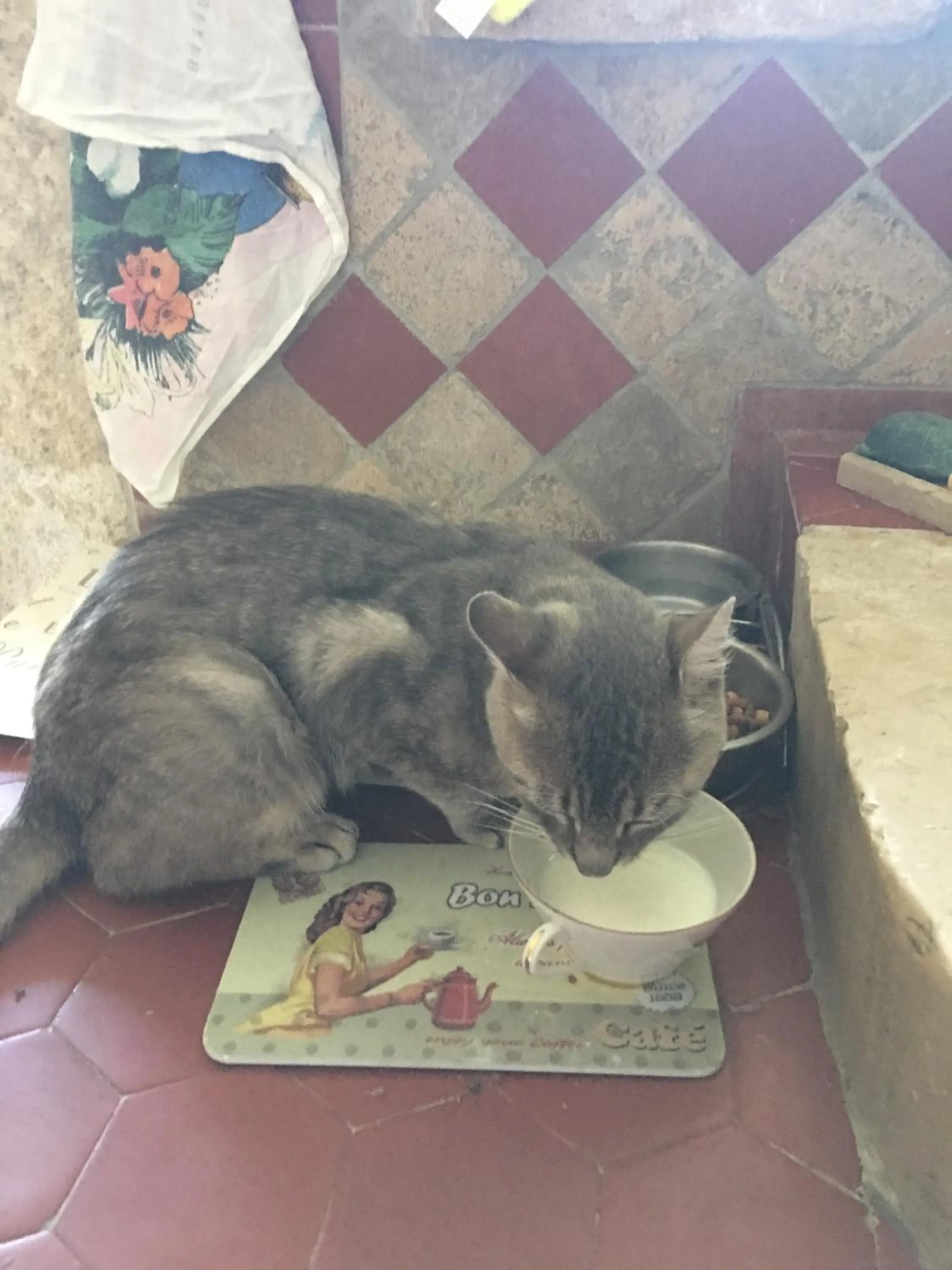 Pets in Mas des Armouriers