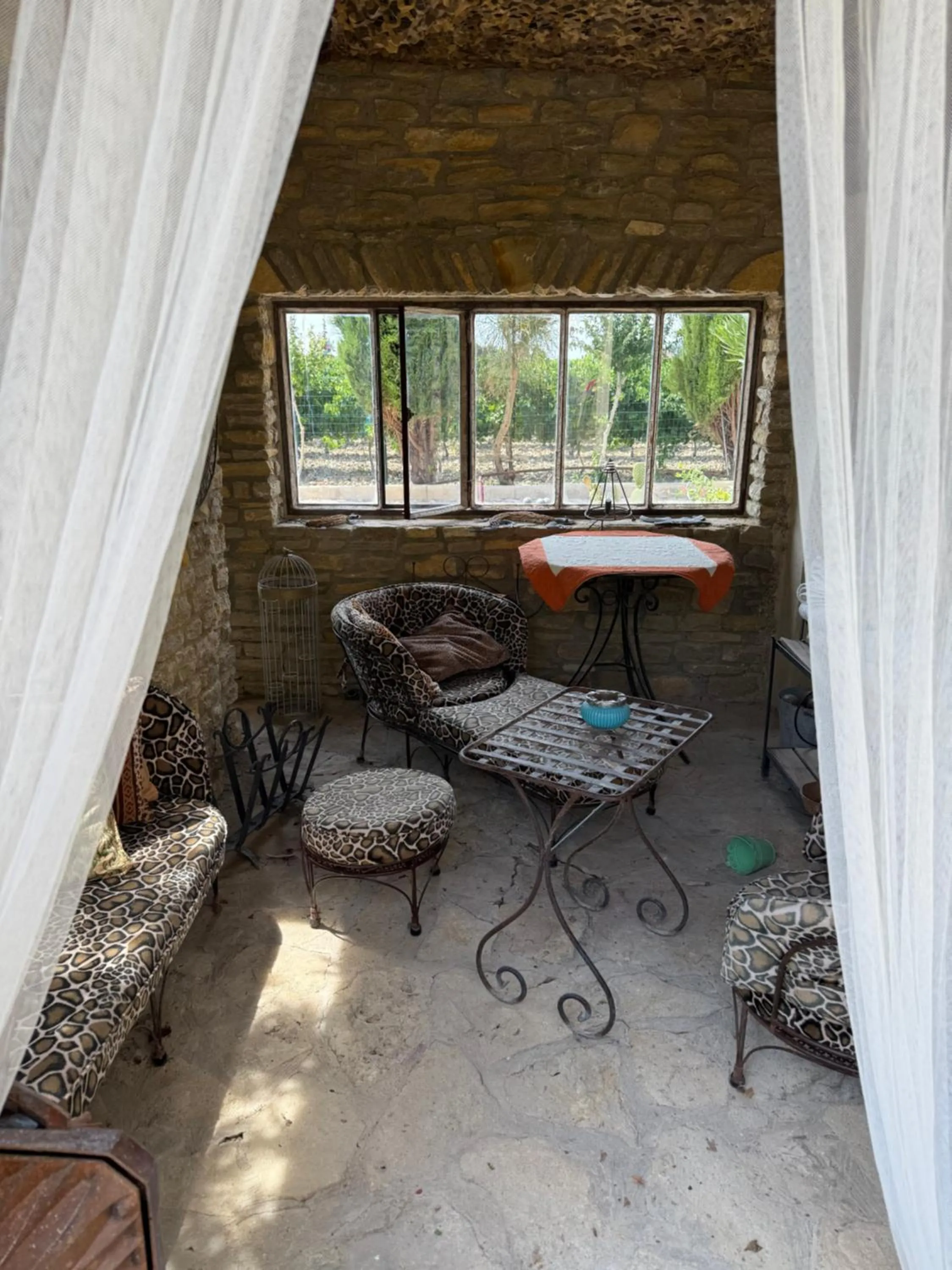 Patio in Mas des Armouriers