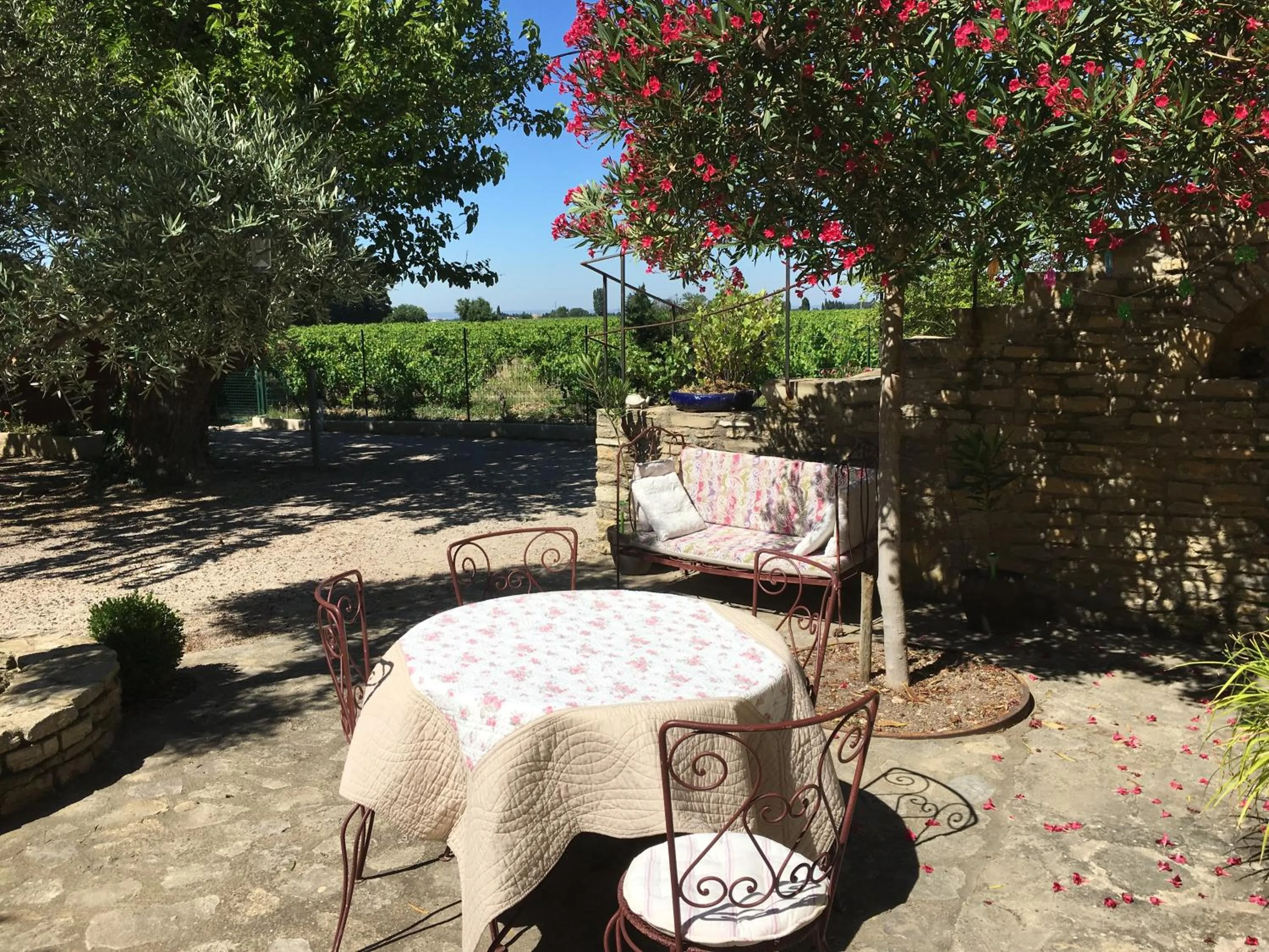 Patio in Mas des Armouriers