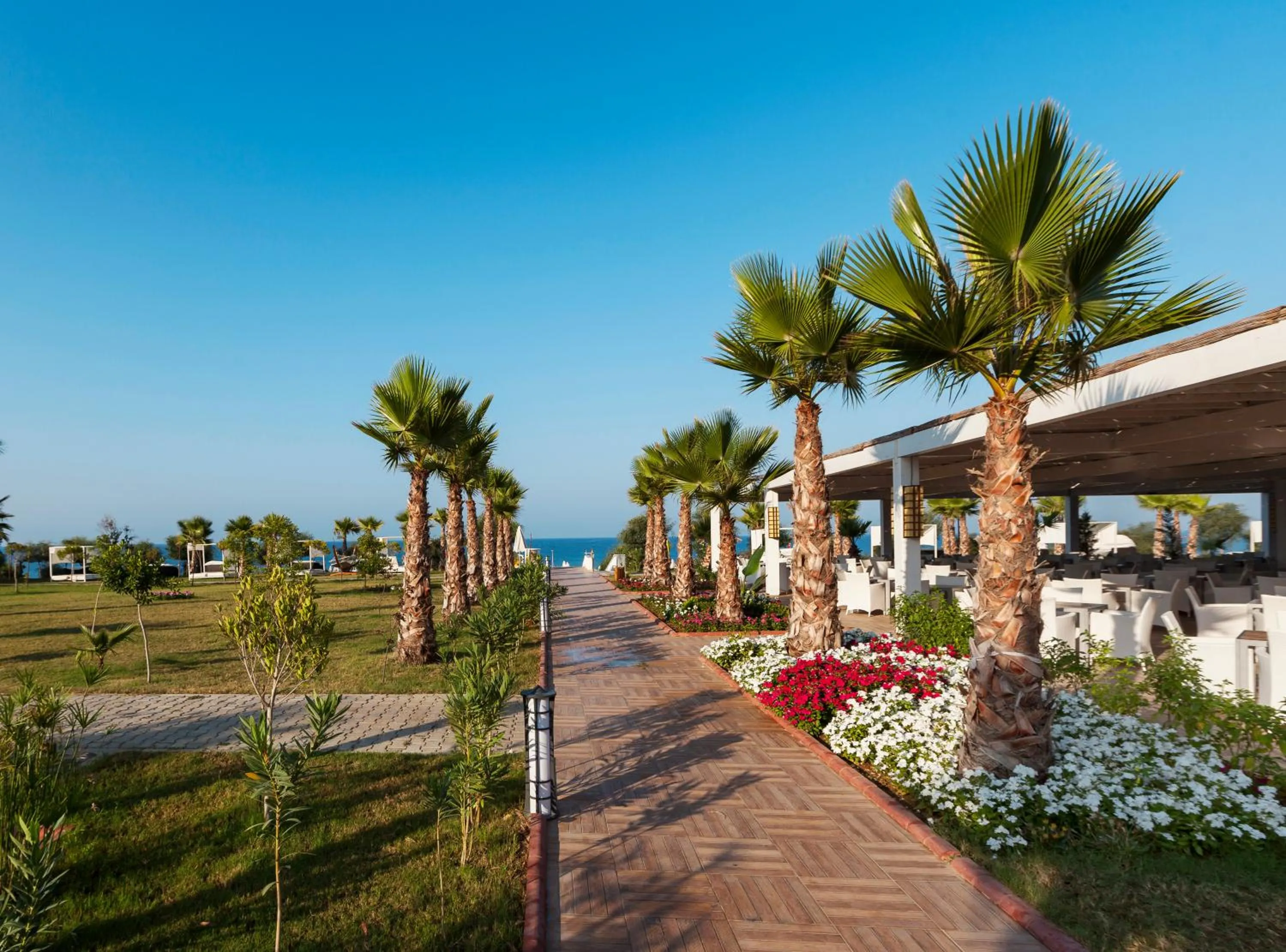 Garden in Sultan of Dreams Hotel & Spa - All Inclusive