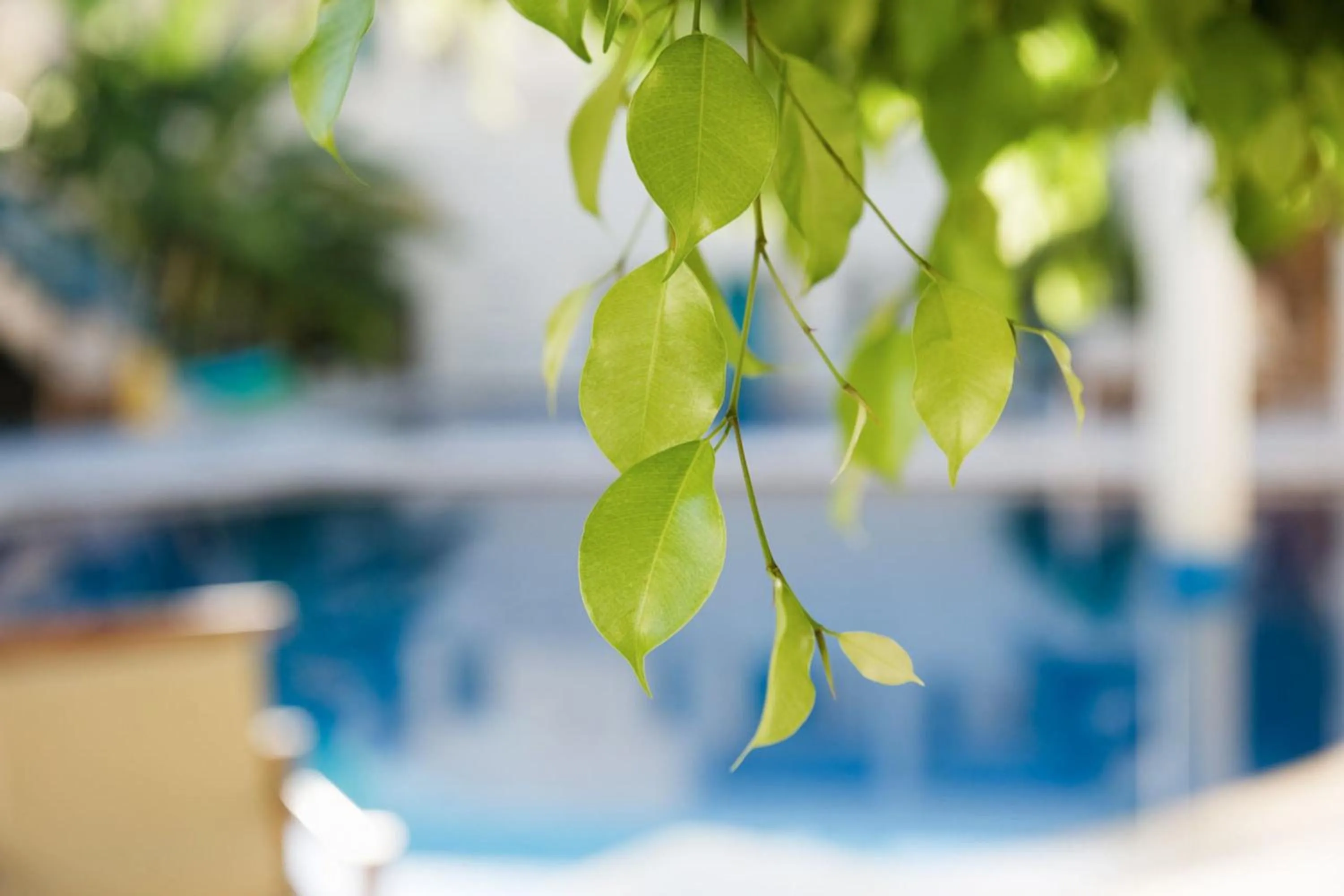 Other in Forum Suites