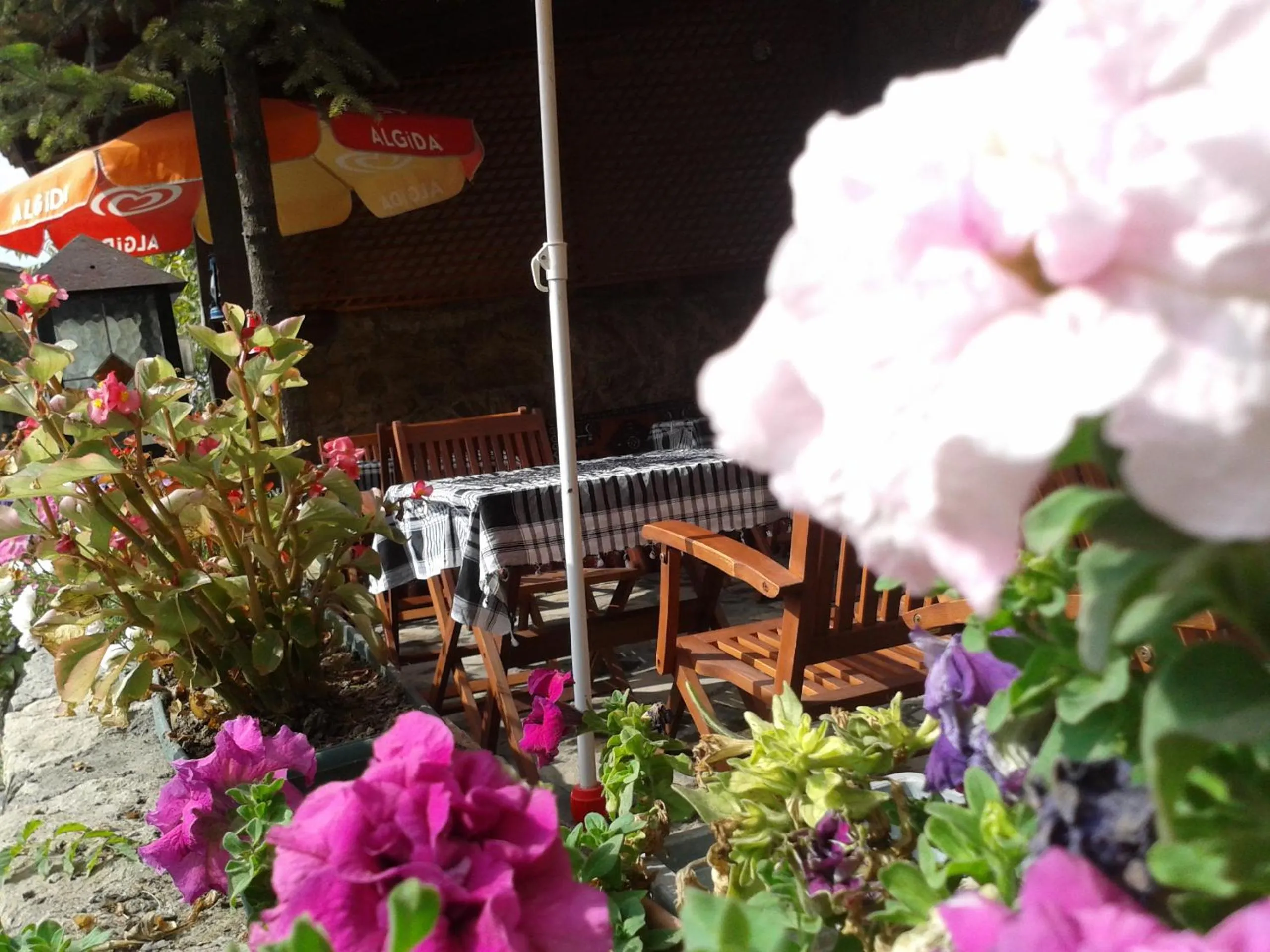 Spring in Arifbey Konak Hotel