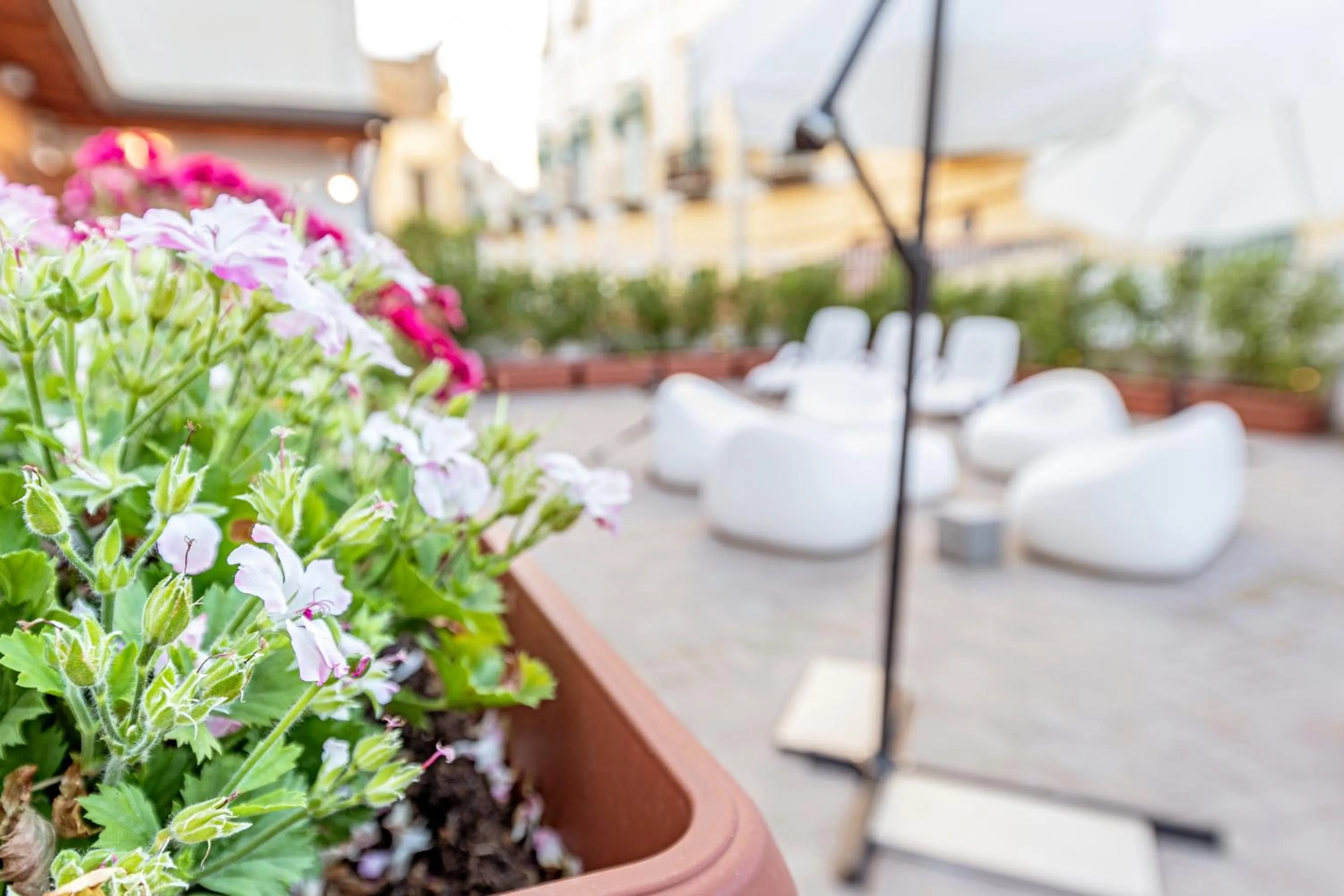 Patio in Napoli Squares Suites