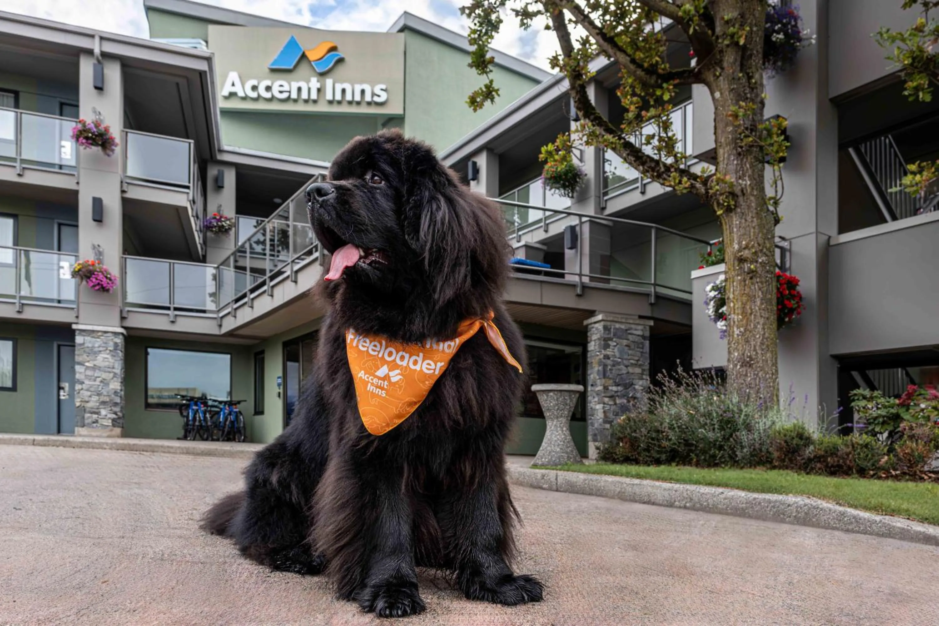 Property building in Accent Inns Victoria