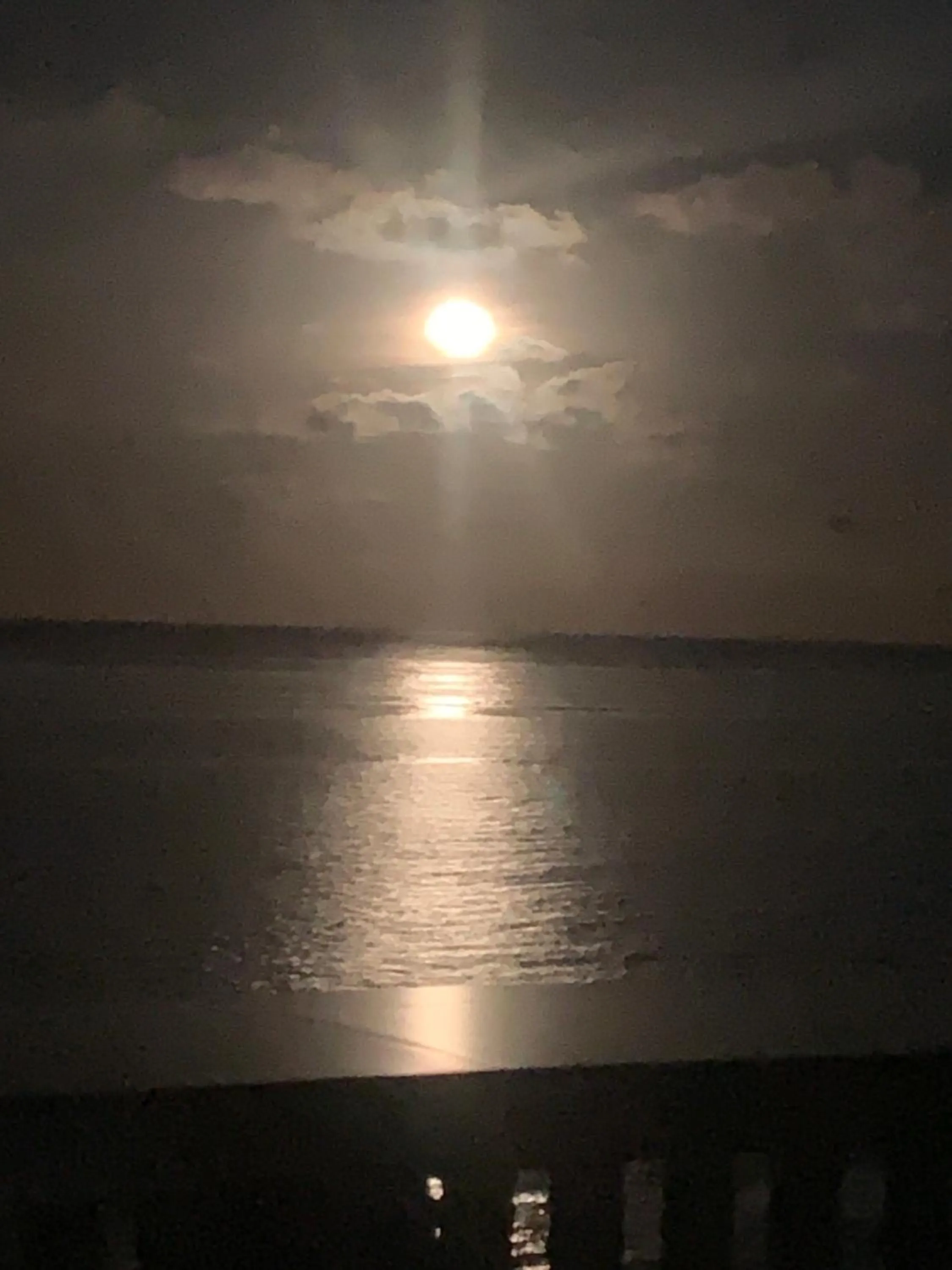 Sea view in Shipwatcher Studio w/Mezzanine