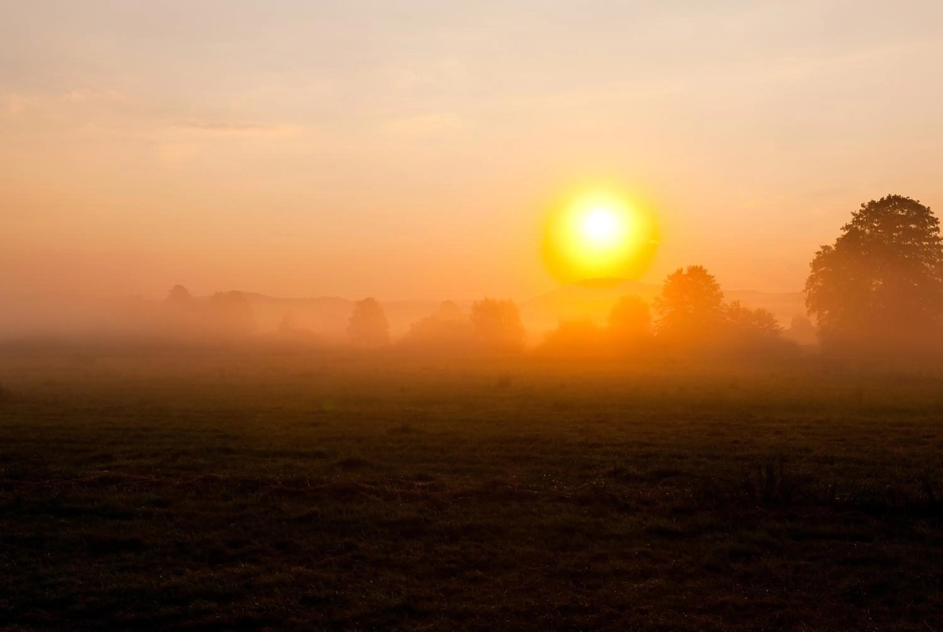 Area and facilities in G Design Hotel