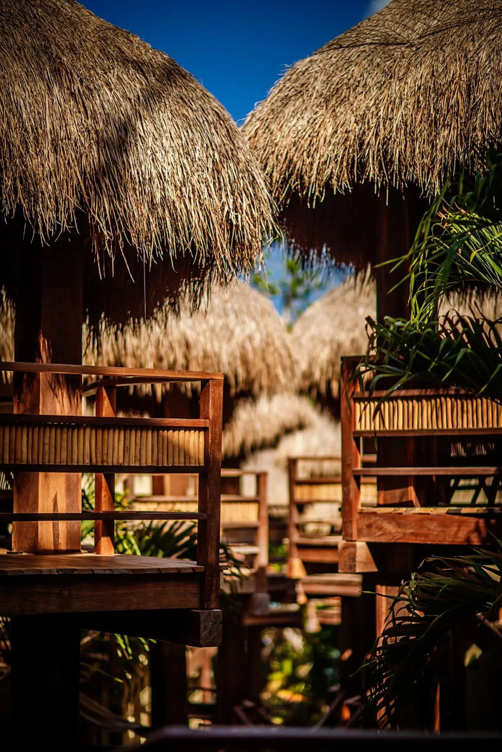 Property building in Hotel Carolina Bacalar Property building in Hotel Carolina Bacalar