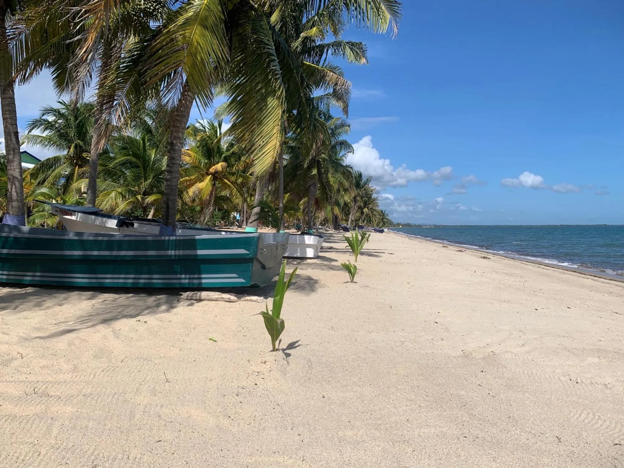 Beach in All Seasons Belize