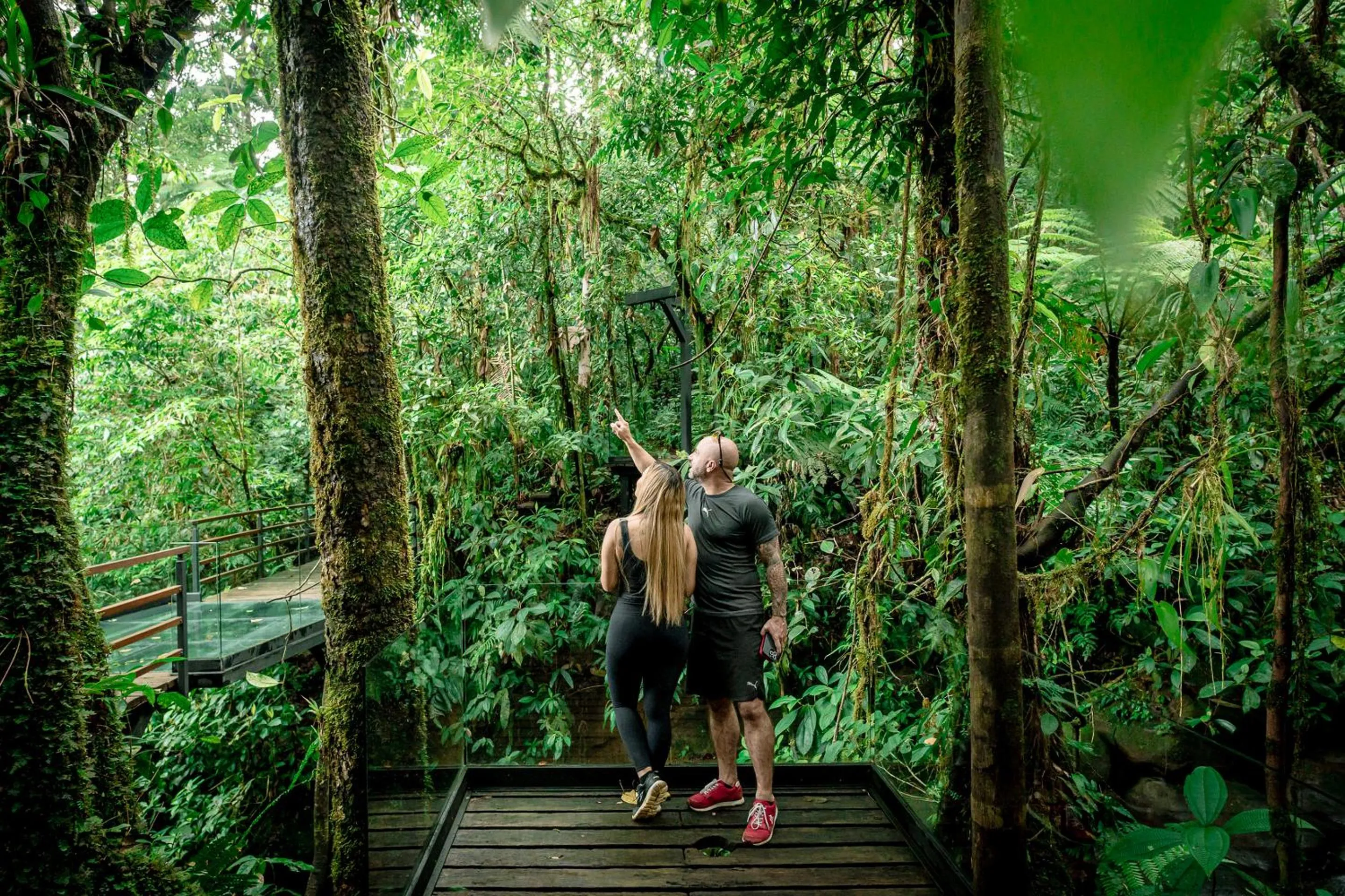 Natural landscape in Ecolirios Boutique Hotel & Villas