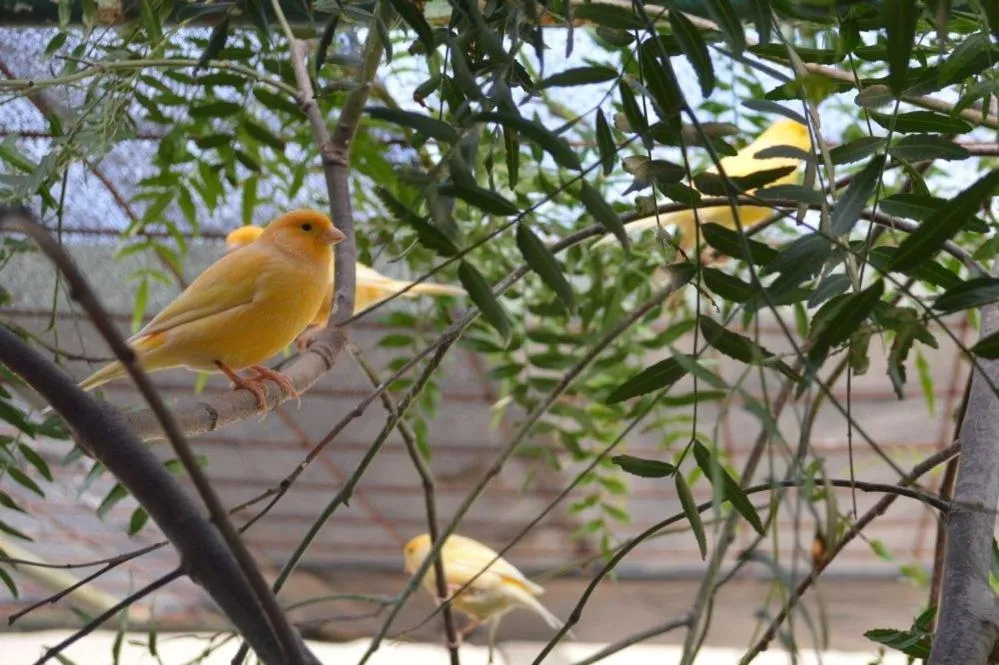 Paringa Caravan Park