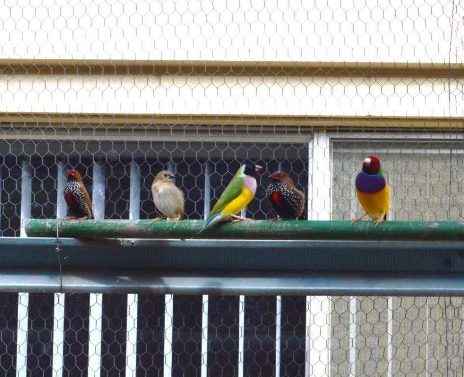 Paringa Caravan Park