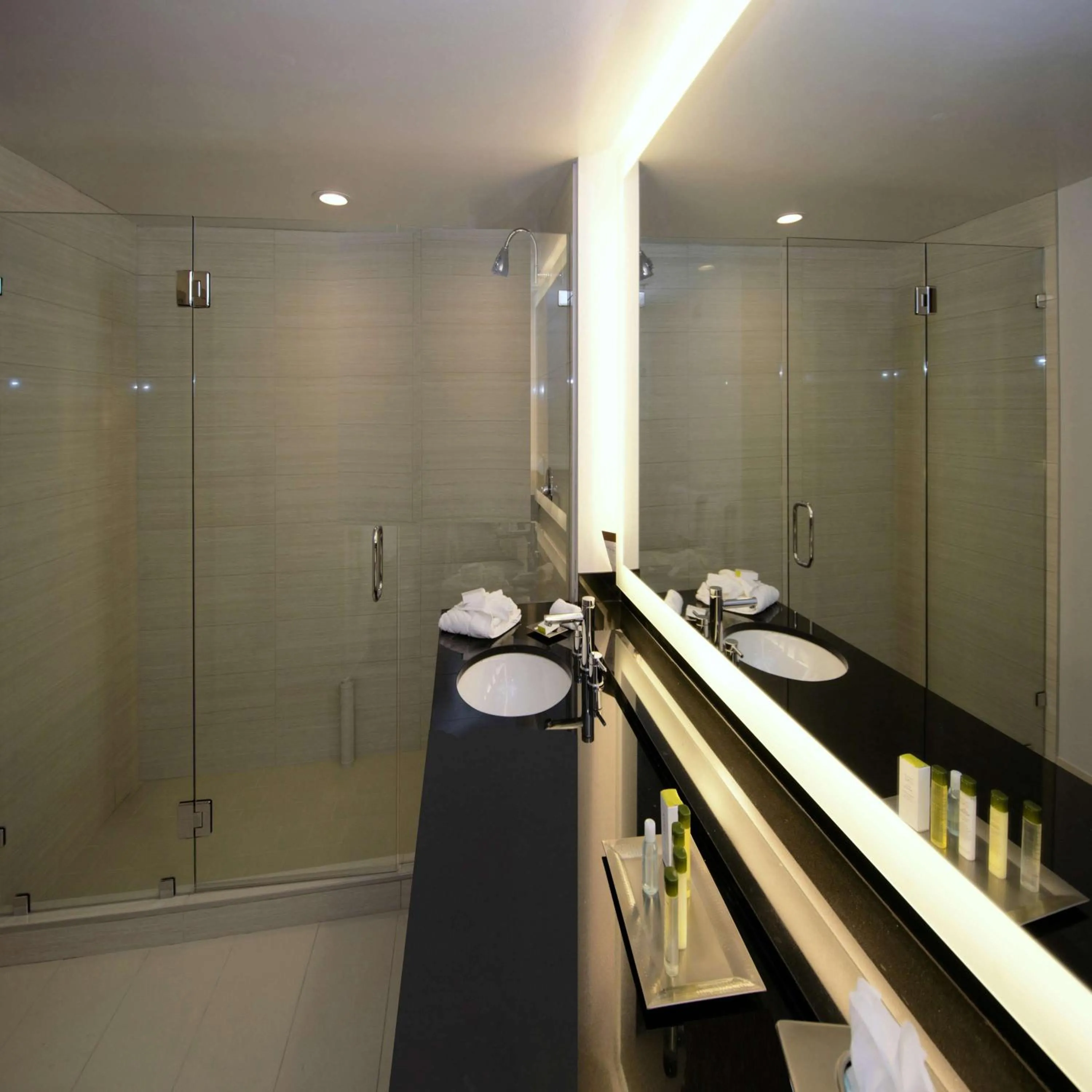 Bathroom in DoubleTree by Hilton Newark-Fremont