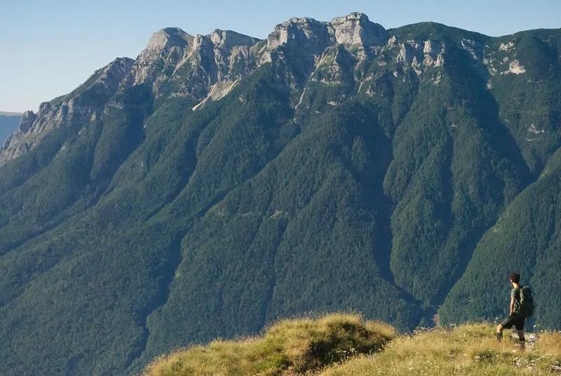 Hiking in Hotel Alpenrose Wellness