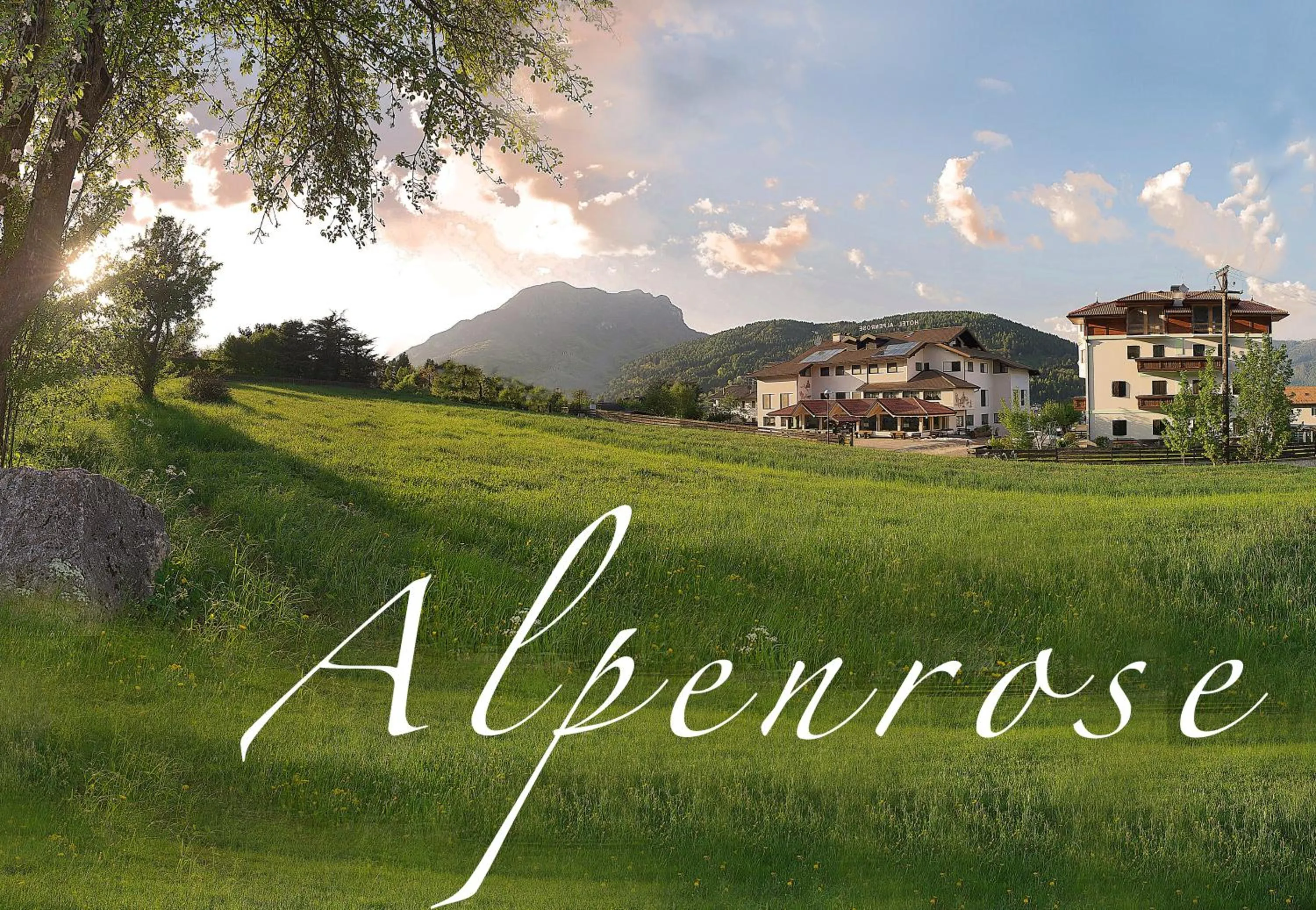 Area and facilities in Hotel Alpenrose Wellness