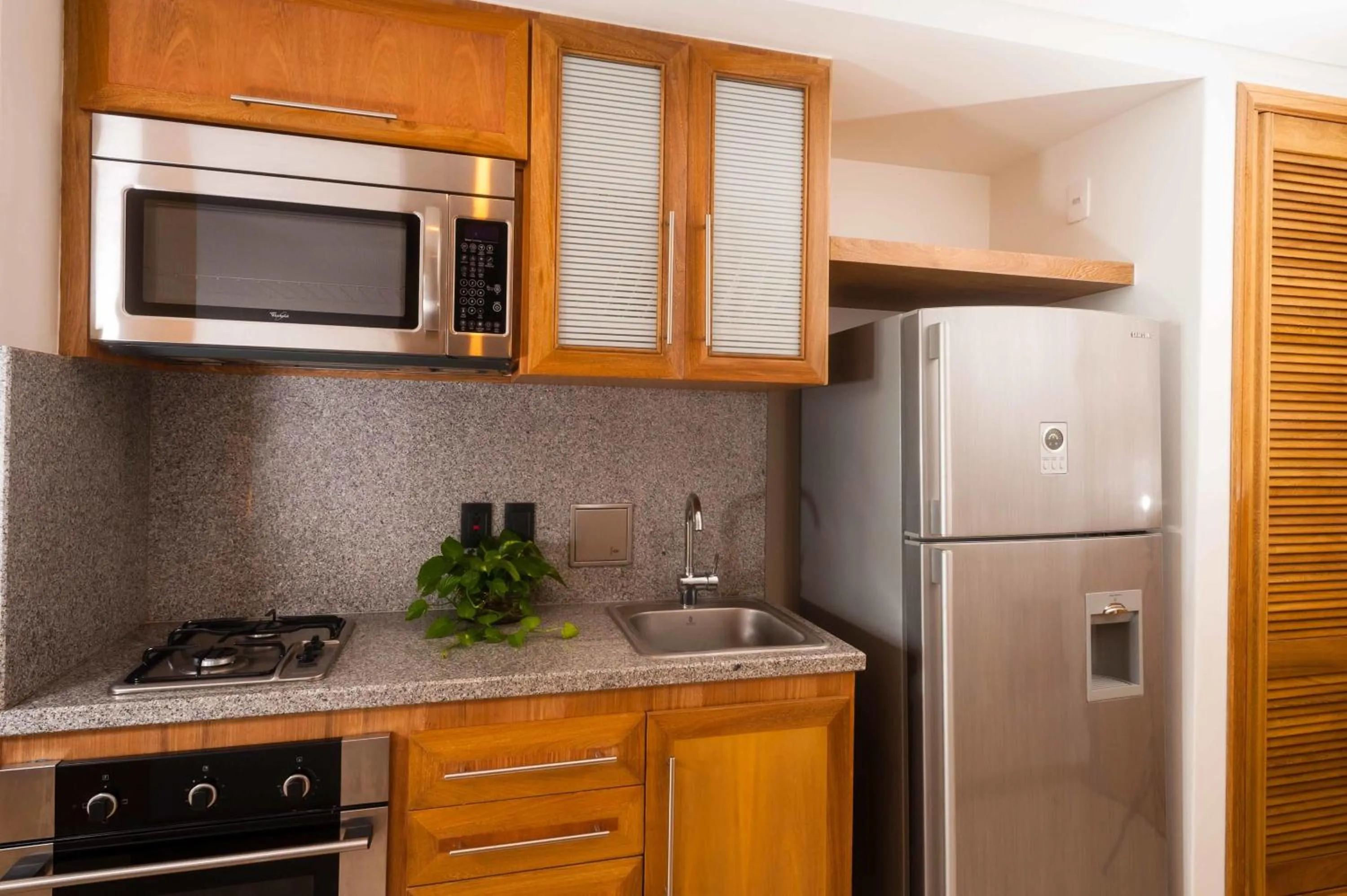 Kitchen or kitchenette in Hotel Irotama del Mar