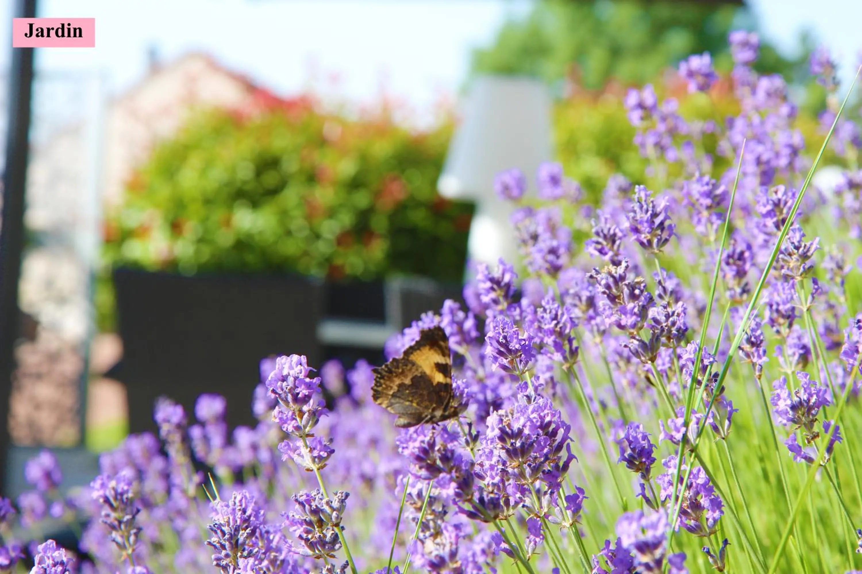 Spring in Hôtel Le Clos Badan