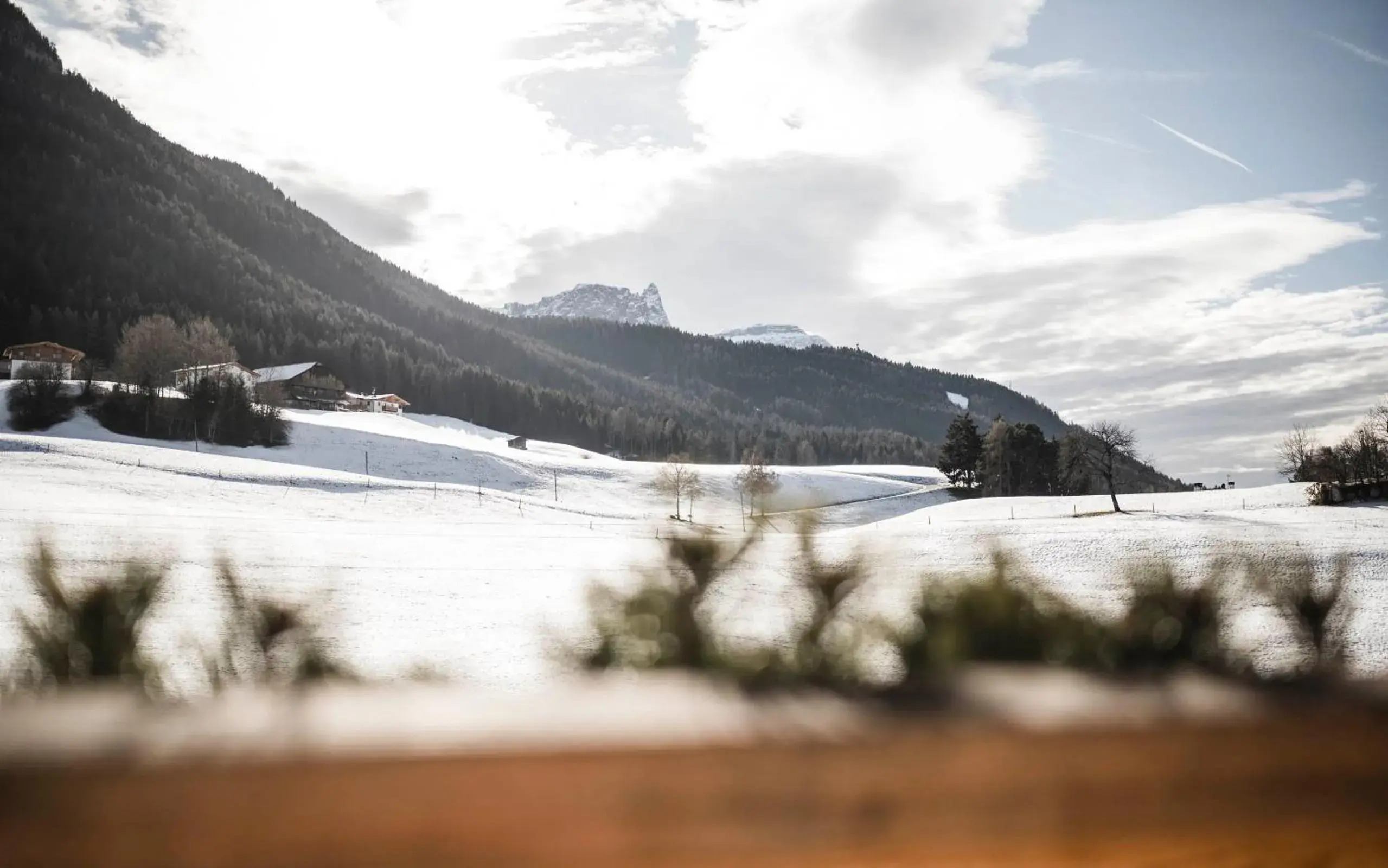 Junior Suite in Alpine Boutique Villa Gabriela - Adults Only Junior Suite in Alpine Boutique Villa Gabriela - Adults Only