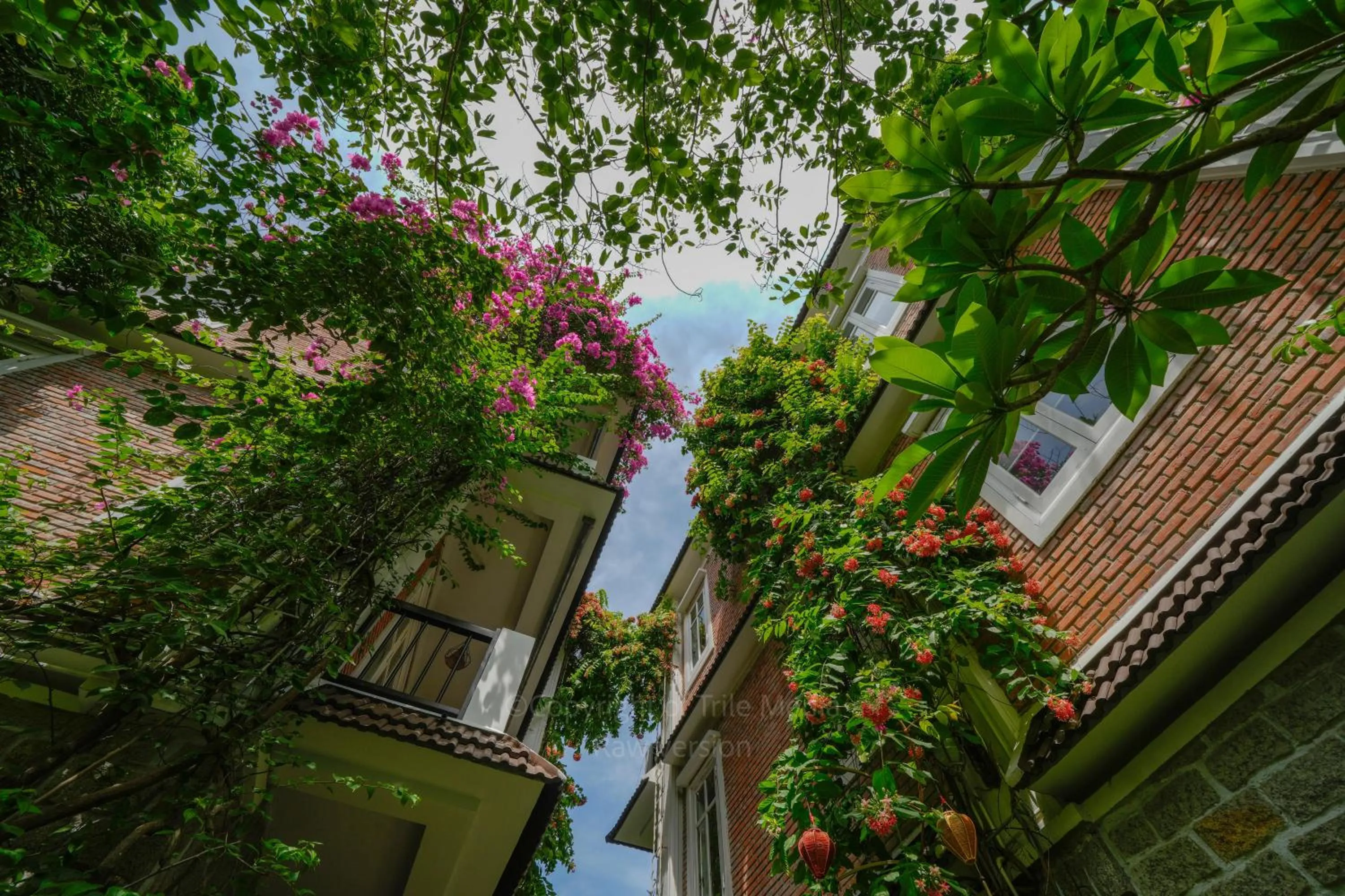 Property building in Blooms Boutique Village