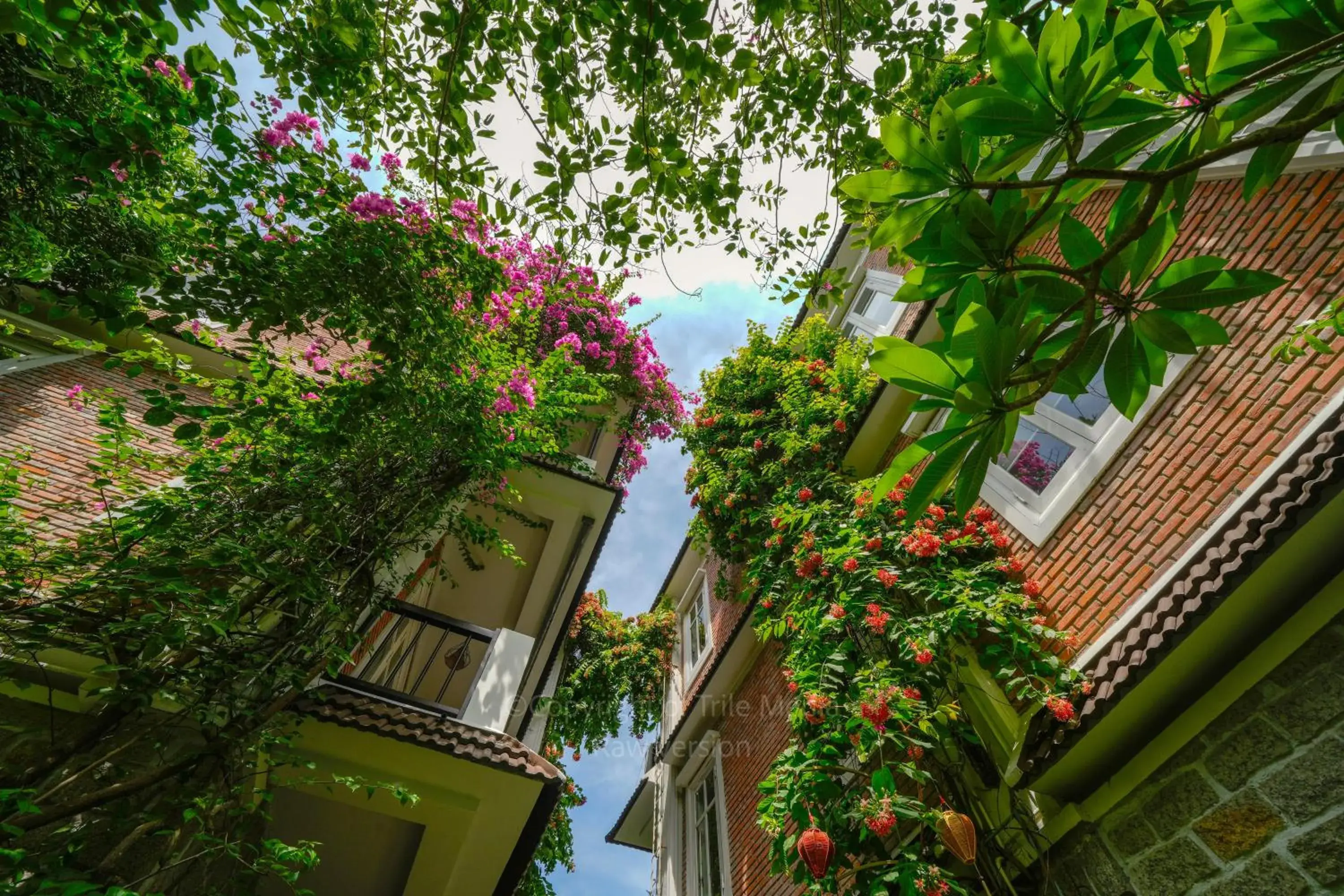 Deluxe Double Room with Balcony - single occupancy in Ancient Garden Boutique Hoi An Deluxe Double Room with Balcony - single occupancy in Ancient Garden Boutique Hoi An