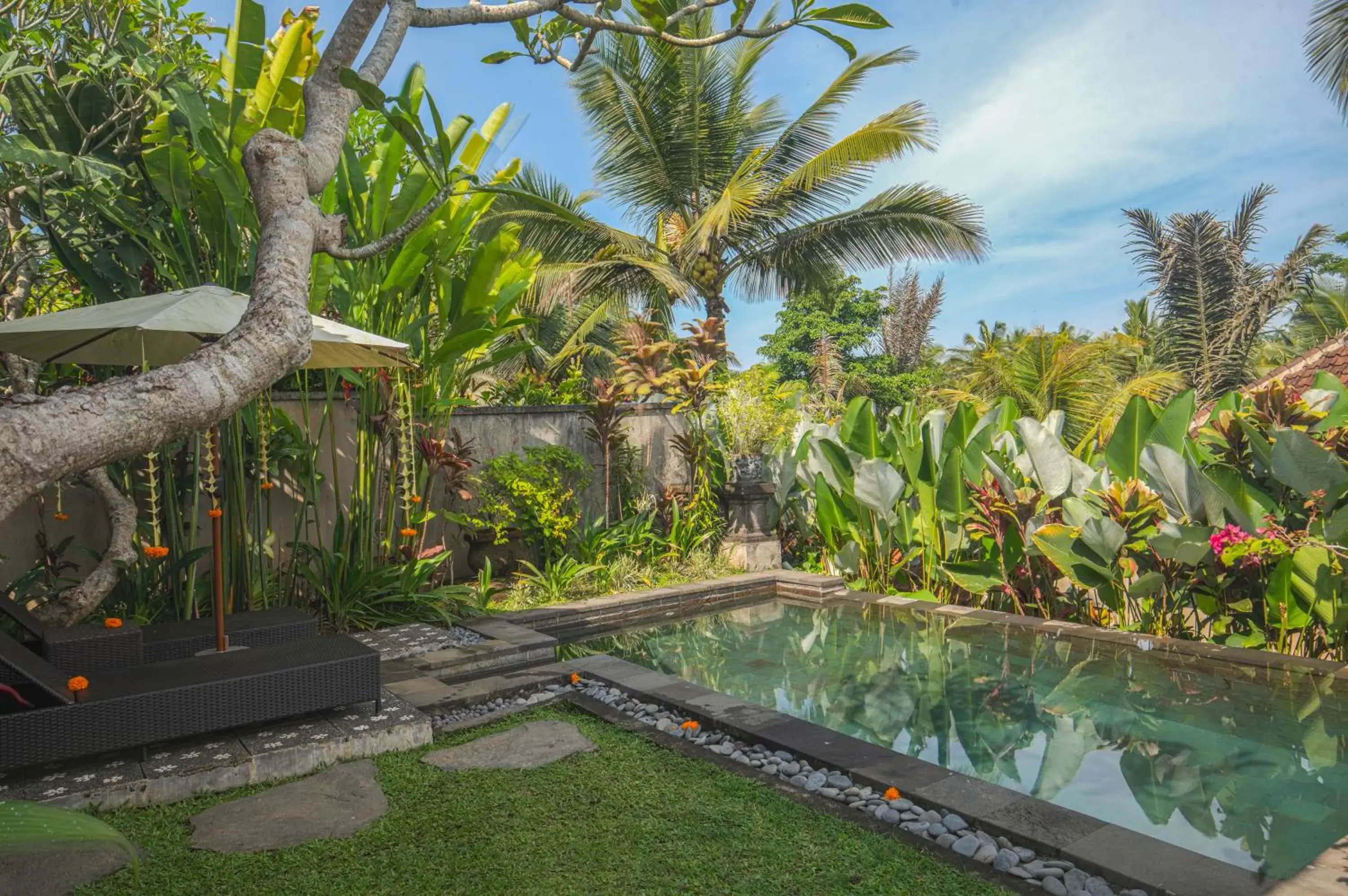 Swimming pool in Taluh Bebek Ubud Private Villas Swimming pool in Taluh Bebek Ubud Private Villas