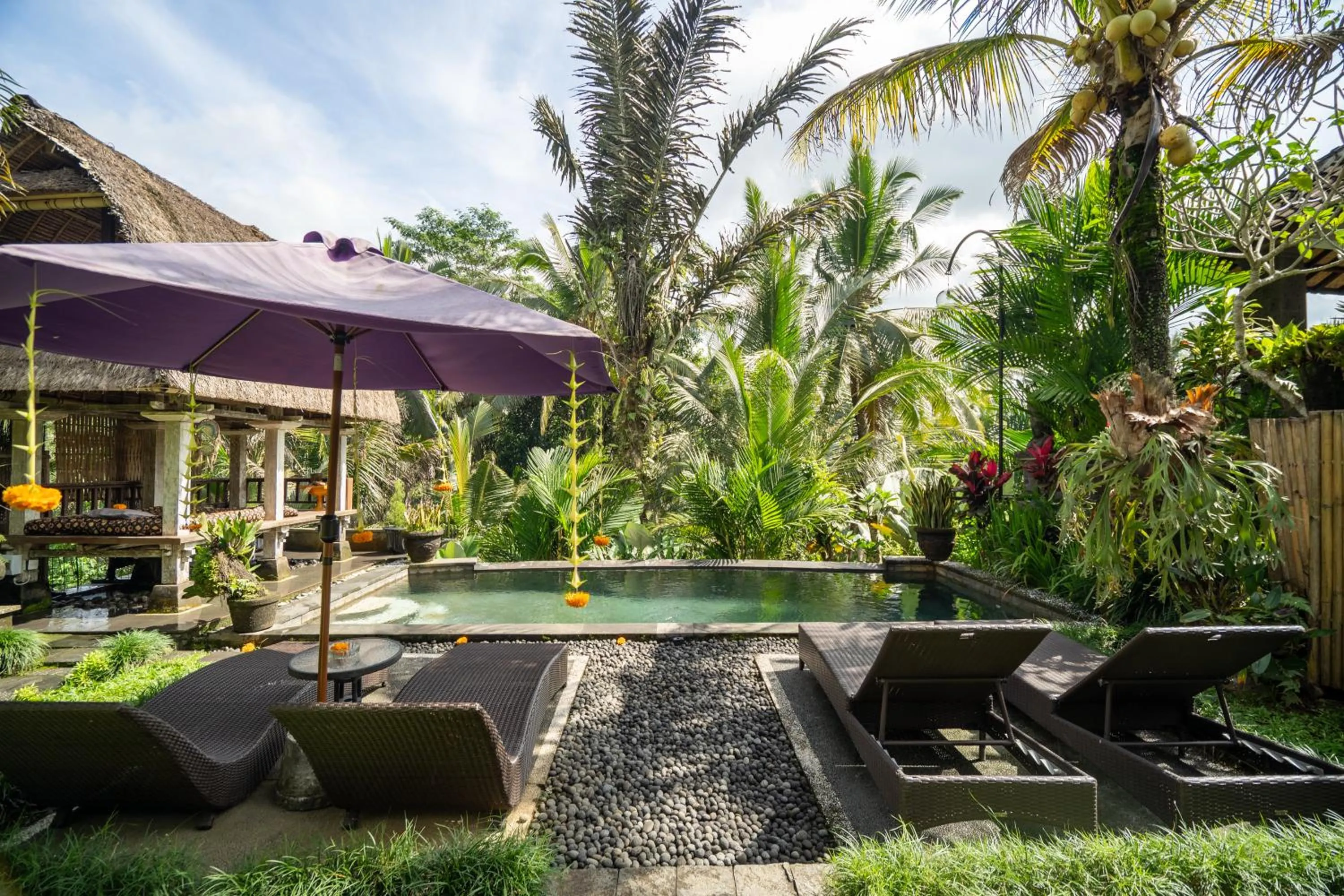 Pool view in Taluh Bebek Ubud Private Villas