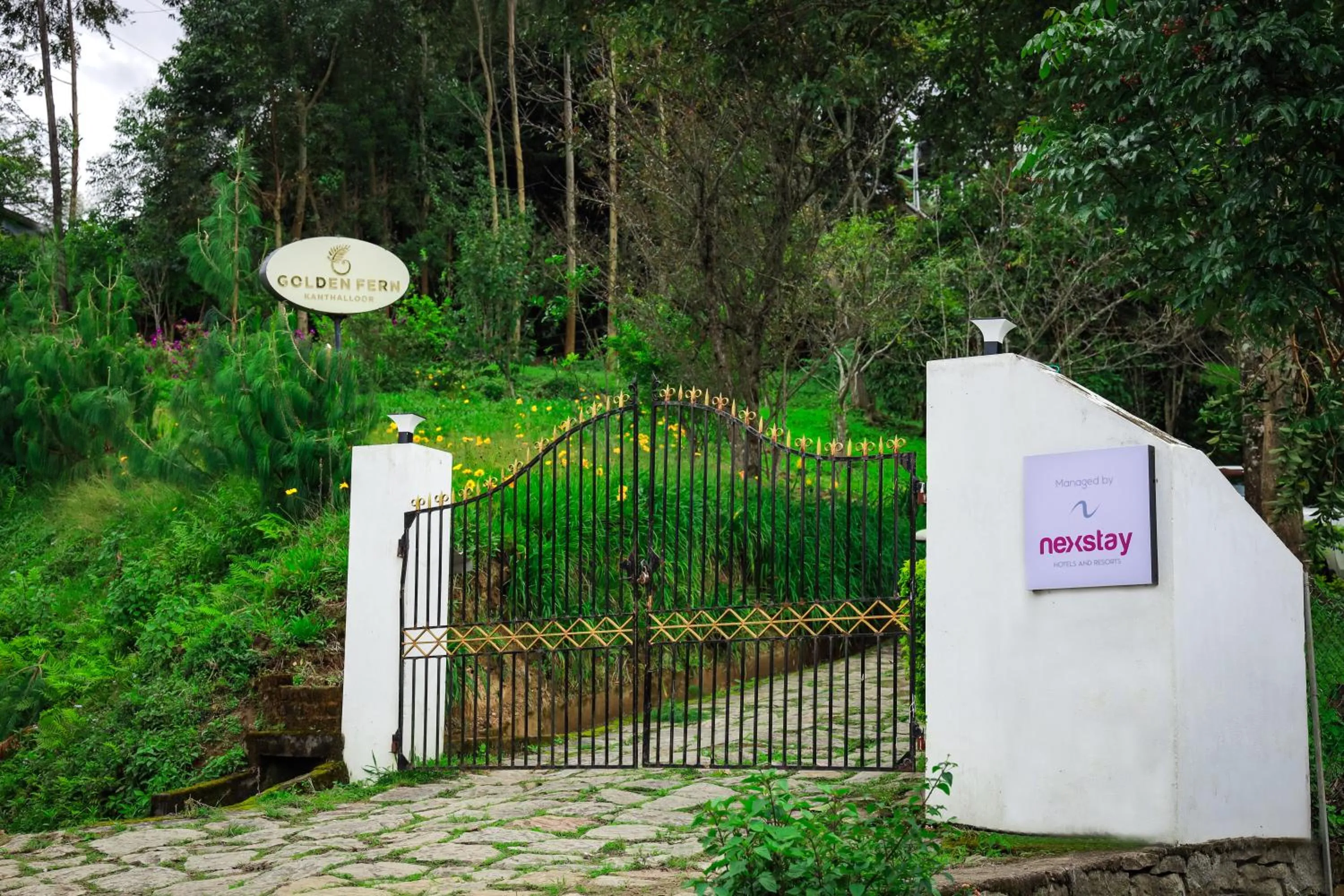 Golden Fern Resort