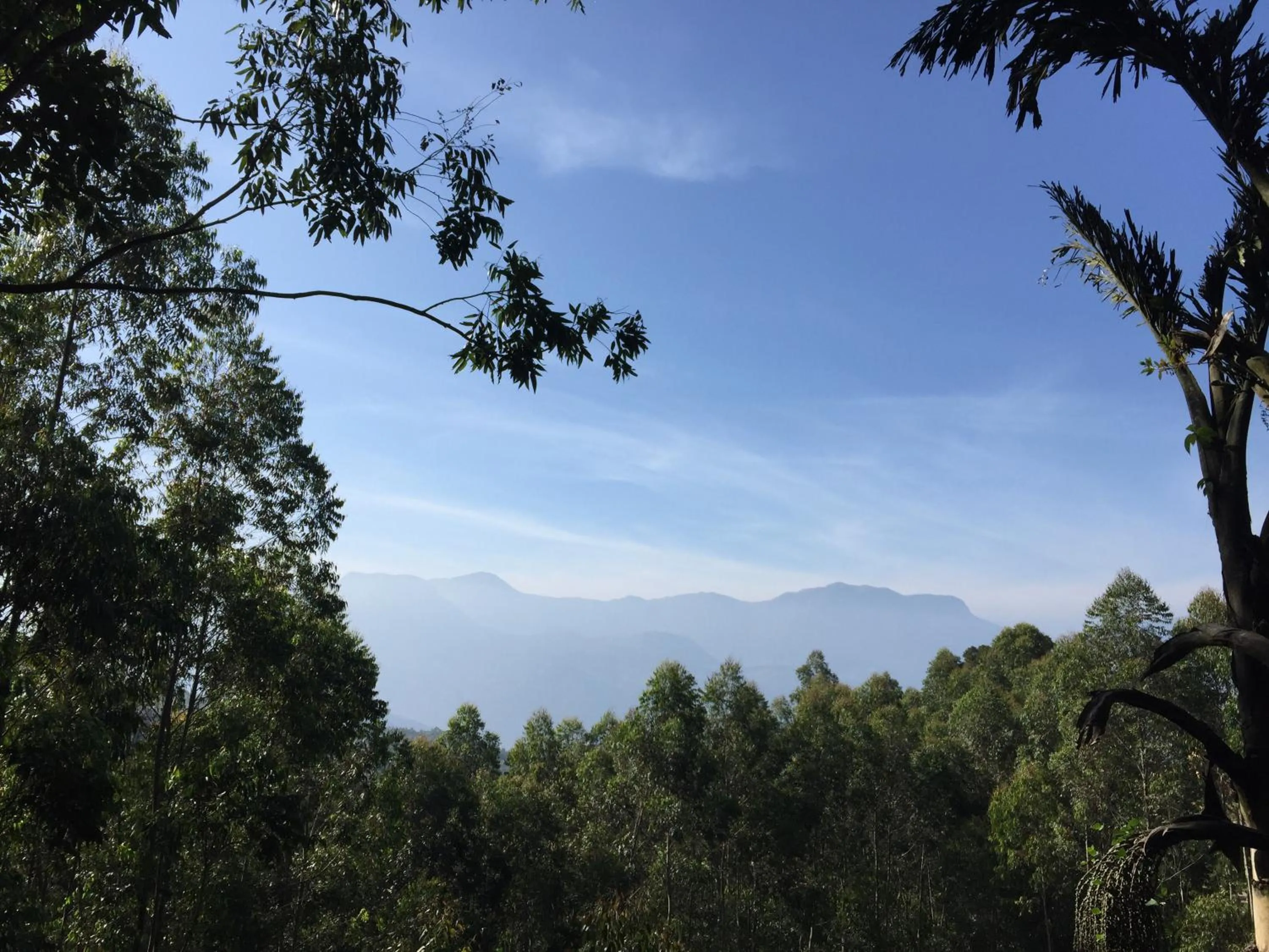Mountain view in Golden Fern Resort