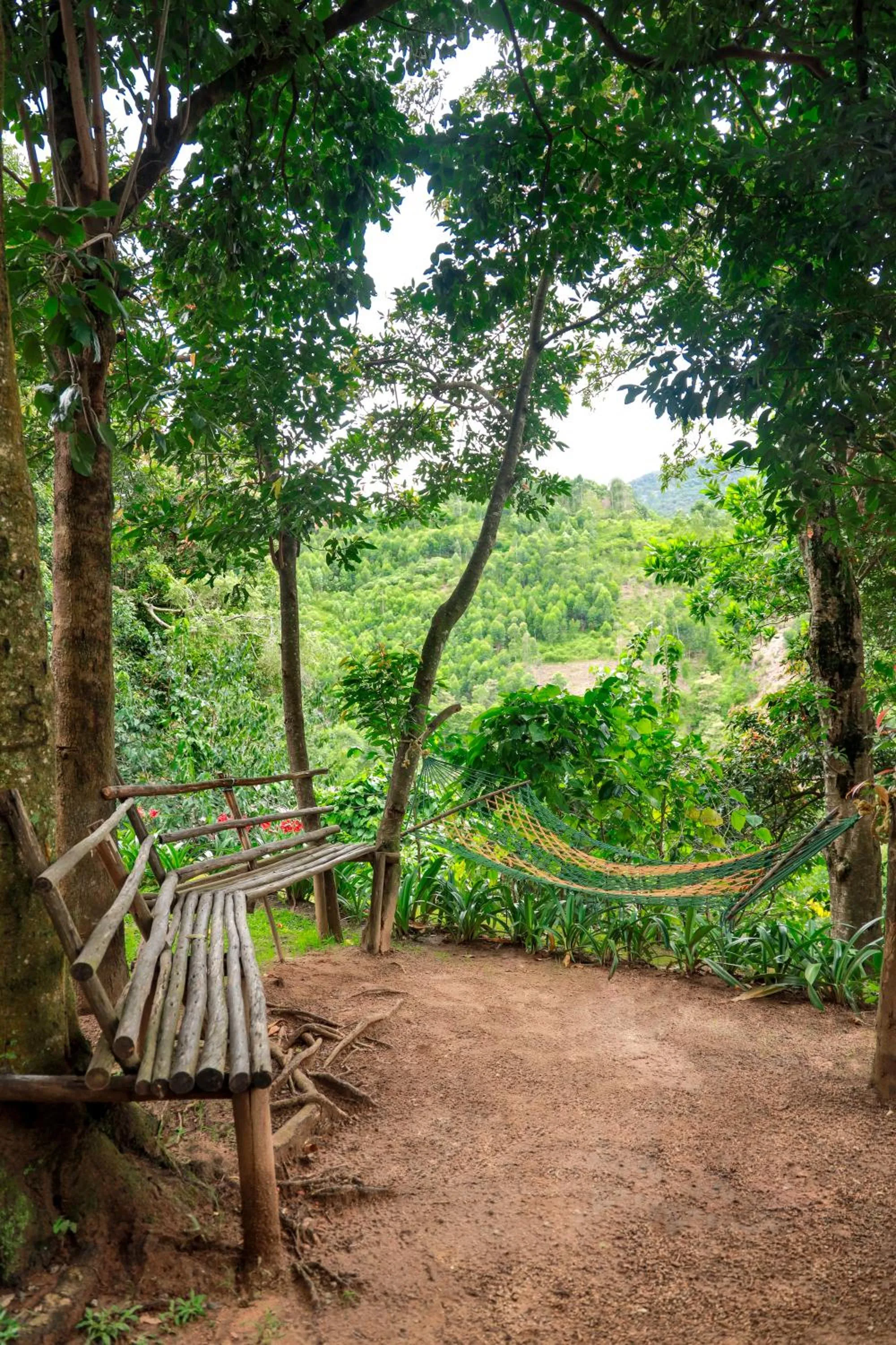 Golden Fern Resort