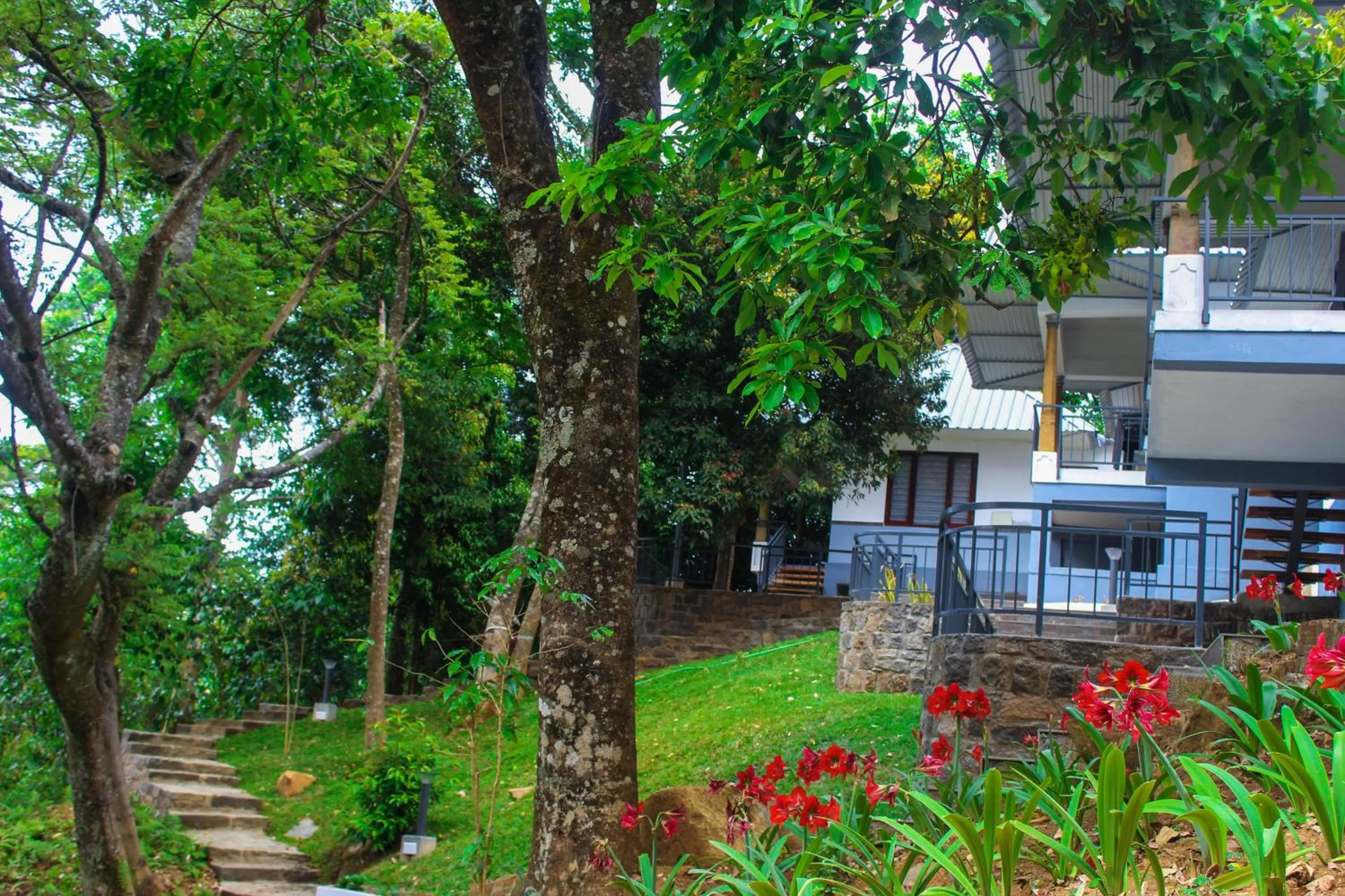 Garden in Golden Fern Resort