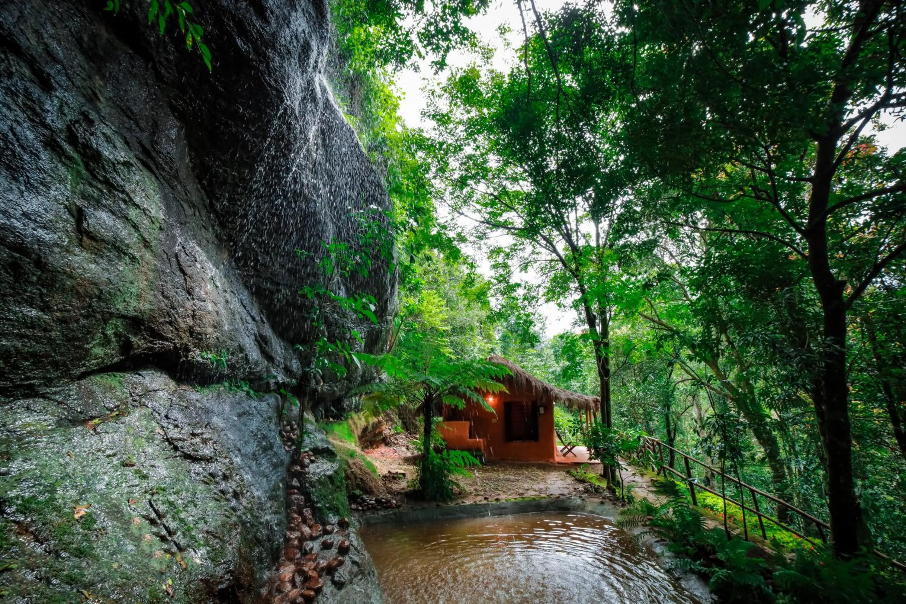 Natural landscape in Golden Fern Resort