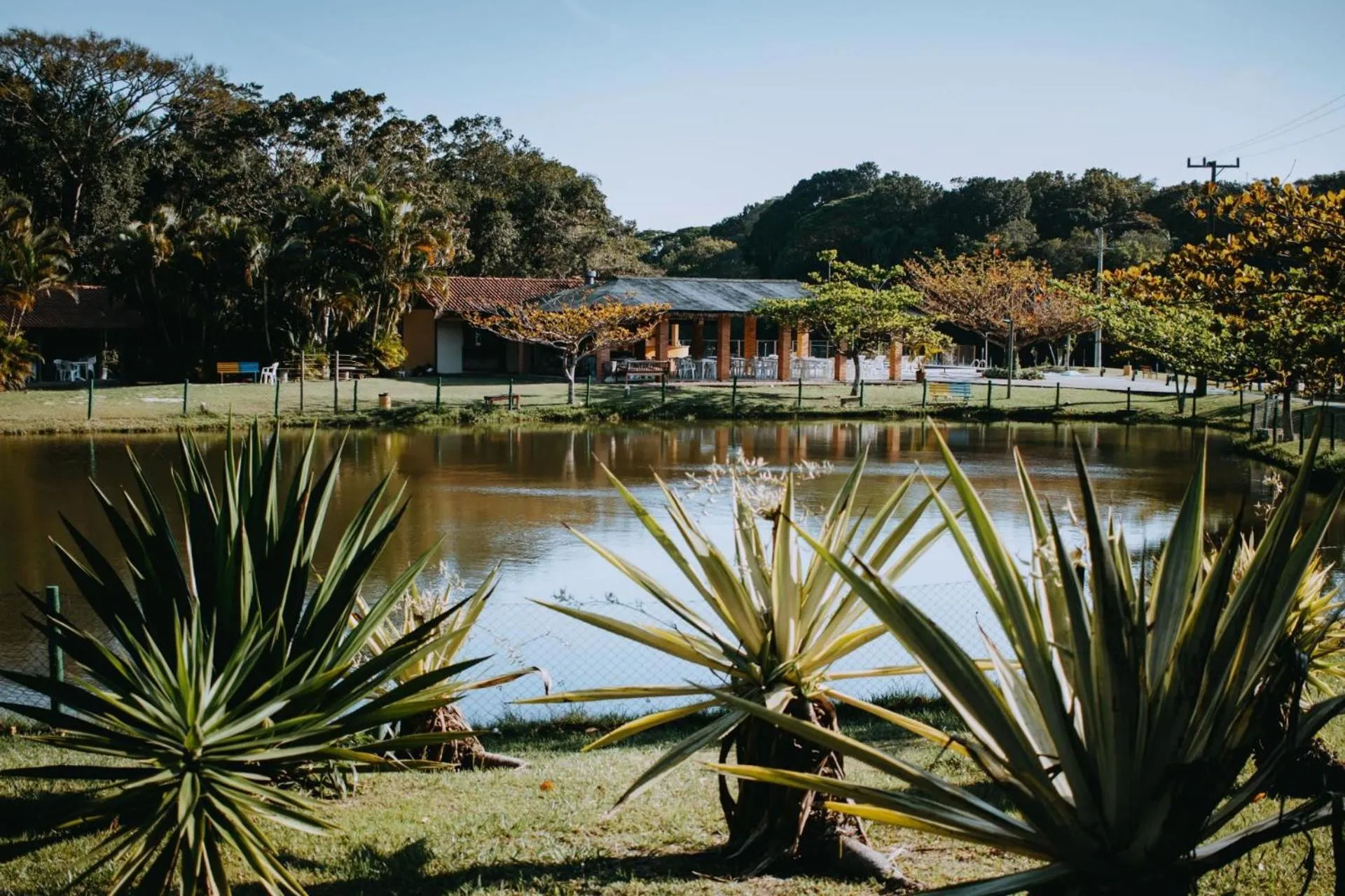 Palmas Hotel & Spa