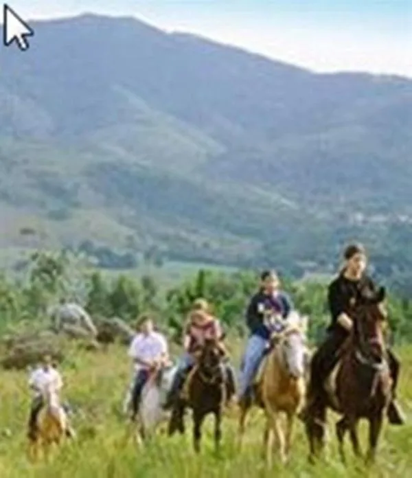 Horse-riding in Palmas Hotel & Spa