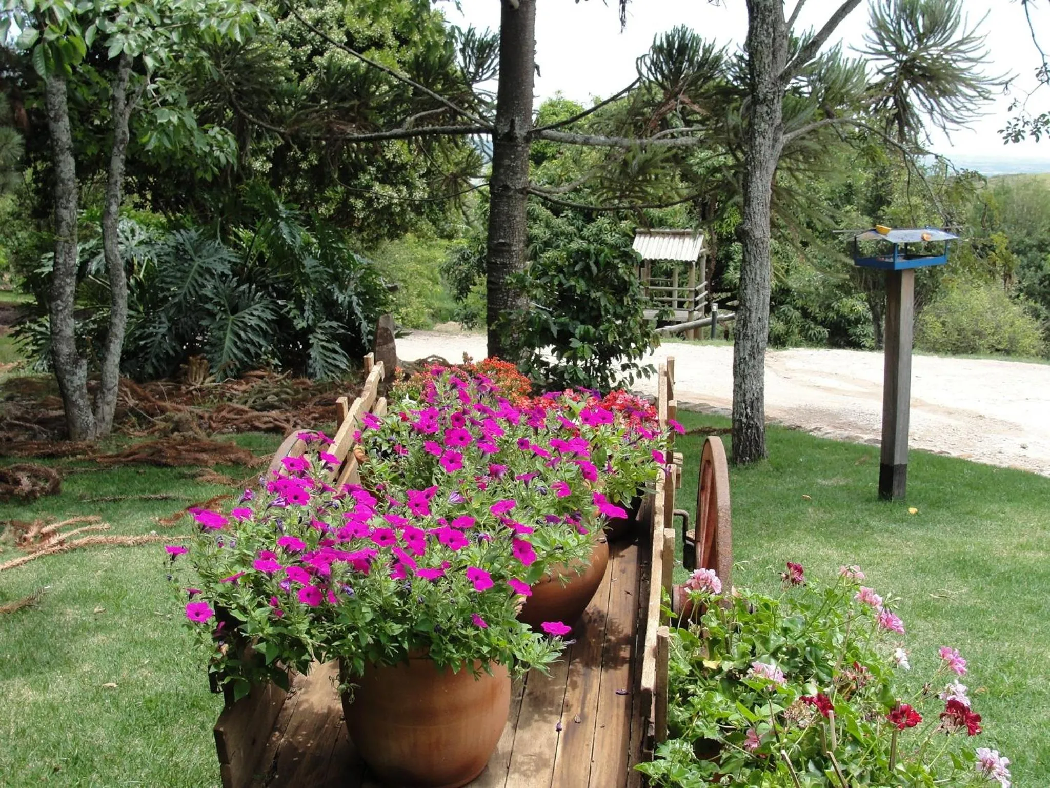 Garden in Pousada Morro Verde