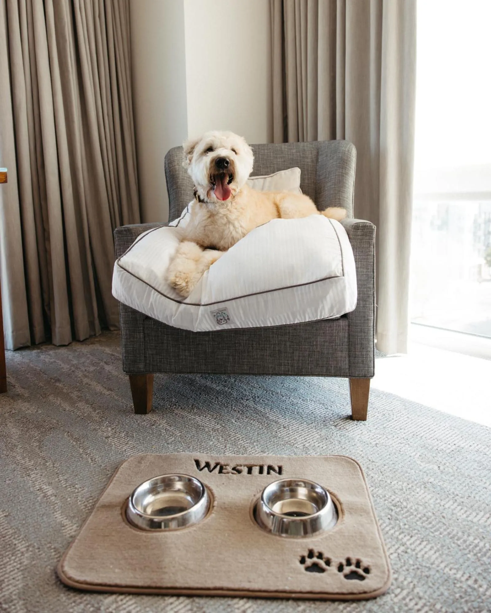 Pets, Bed in The Westin Austin at The Domain