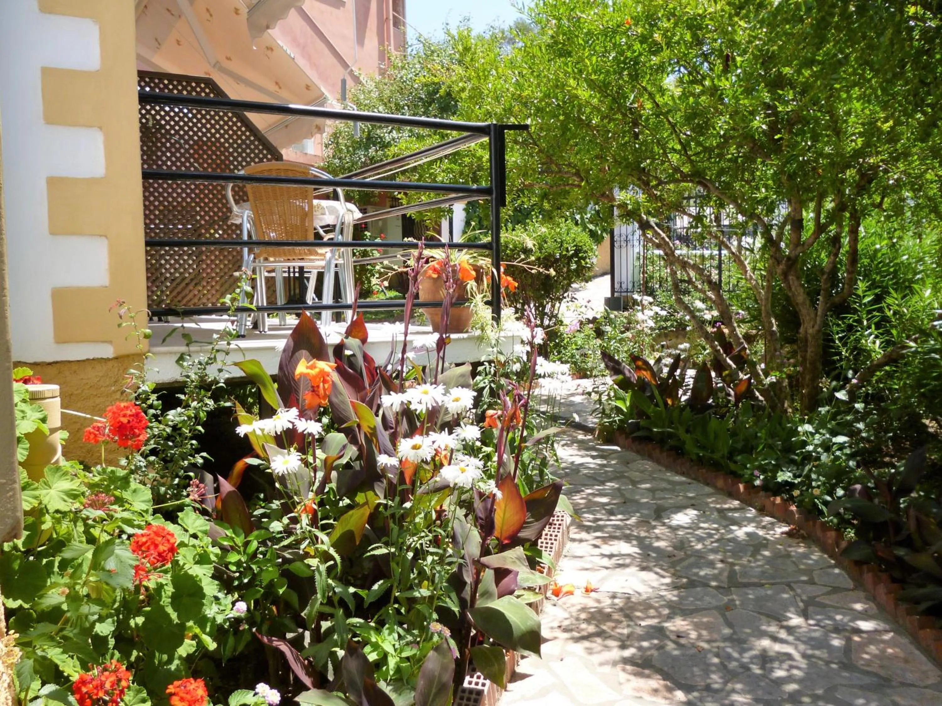 Kostas studios