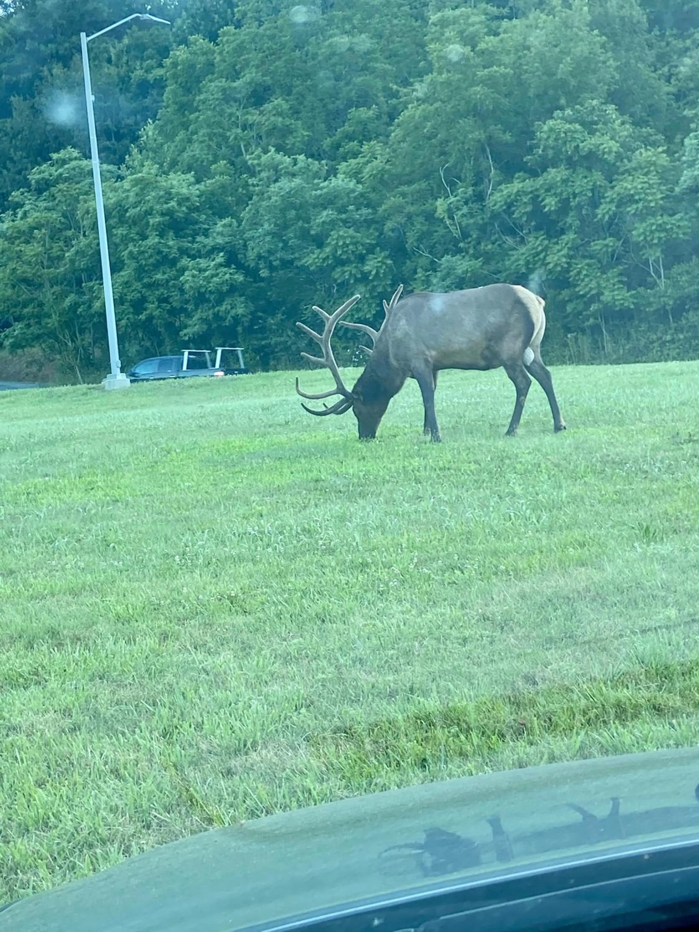 Smoky Mountain Inn & Suites